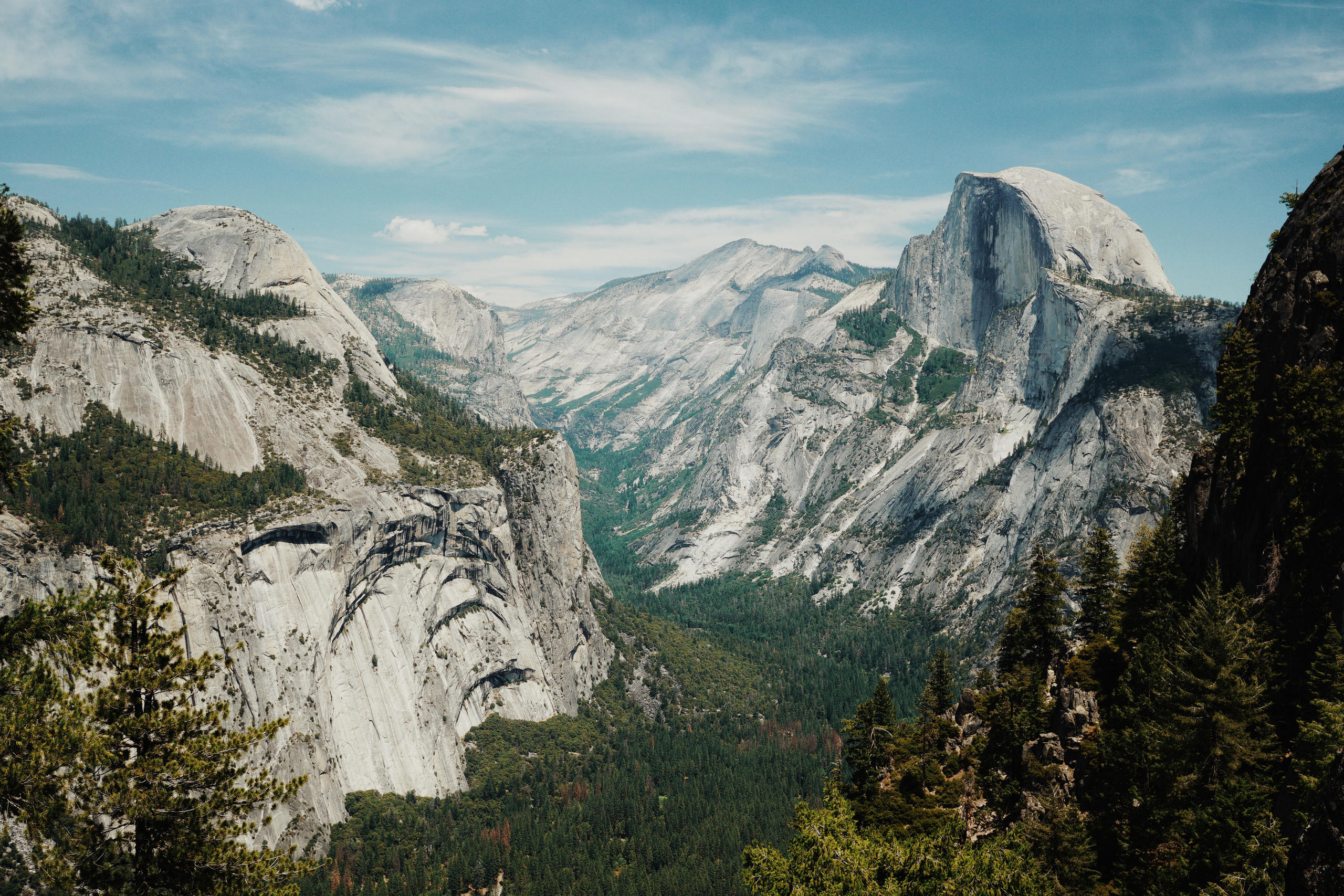 Wallpaper. See the moment and catche. commercial and reportage