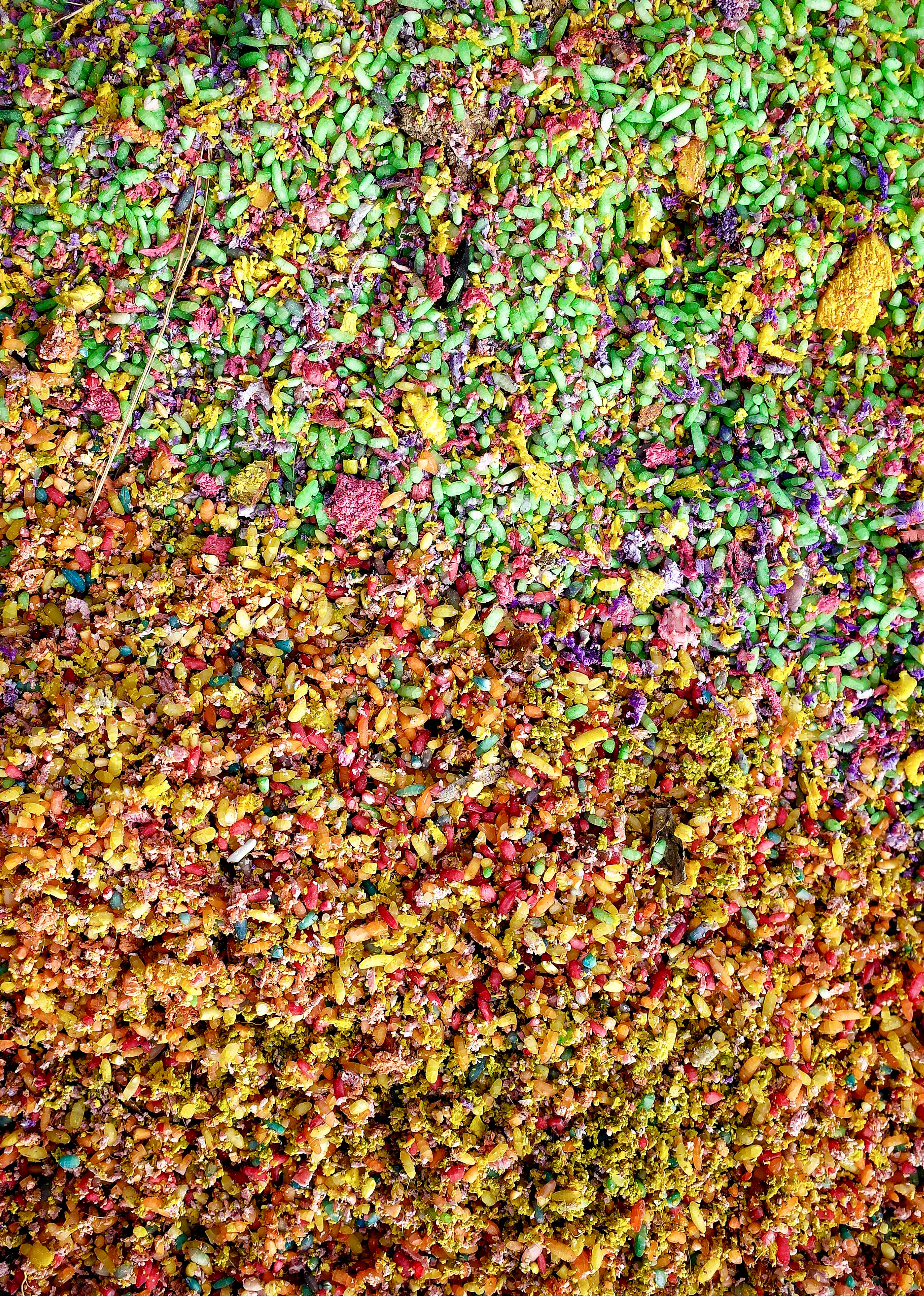 Structure and forms. See the moment and catche. commercial and reportage