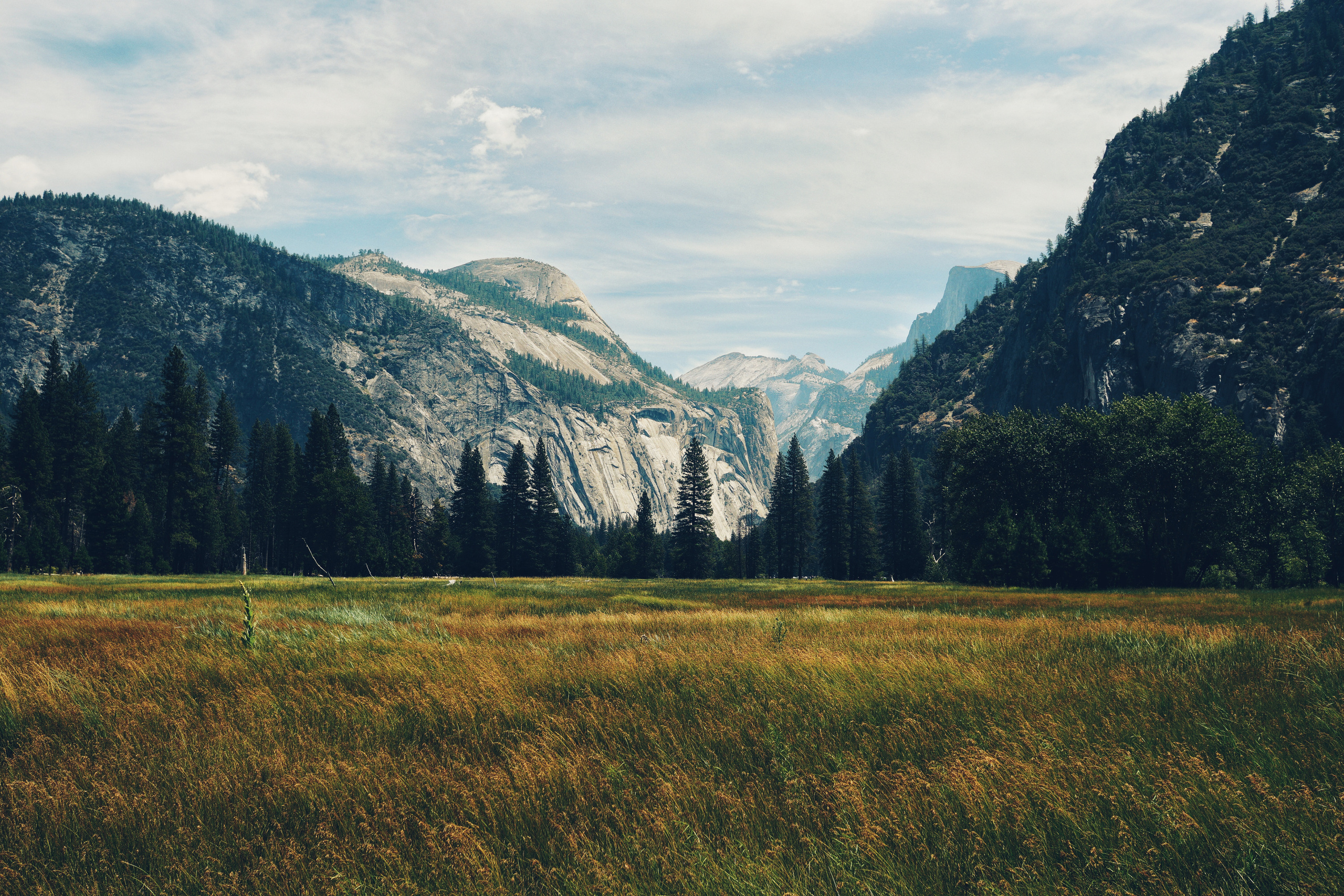 Wallpaper. See the moment and catche. commercial and reportage