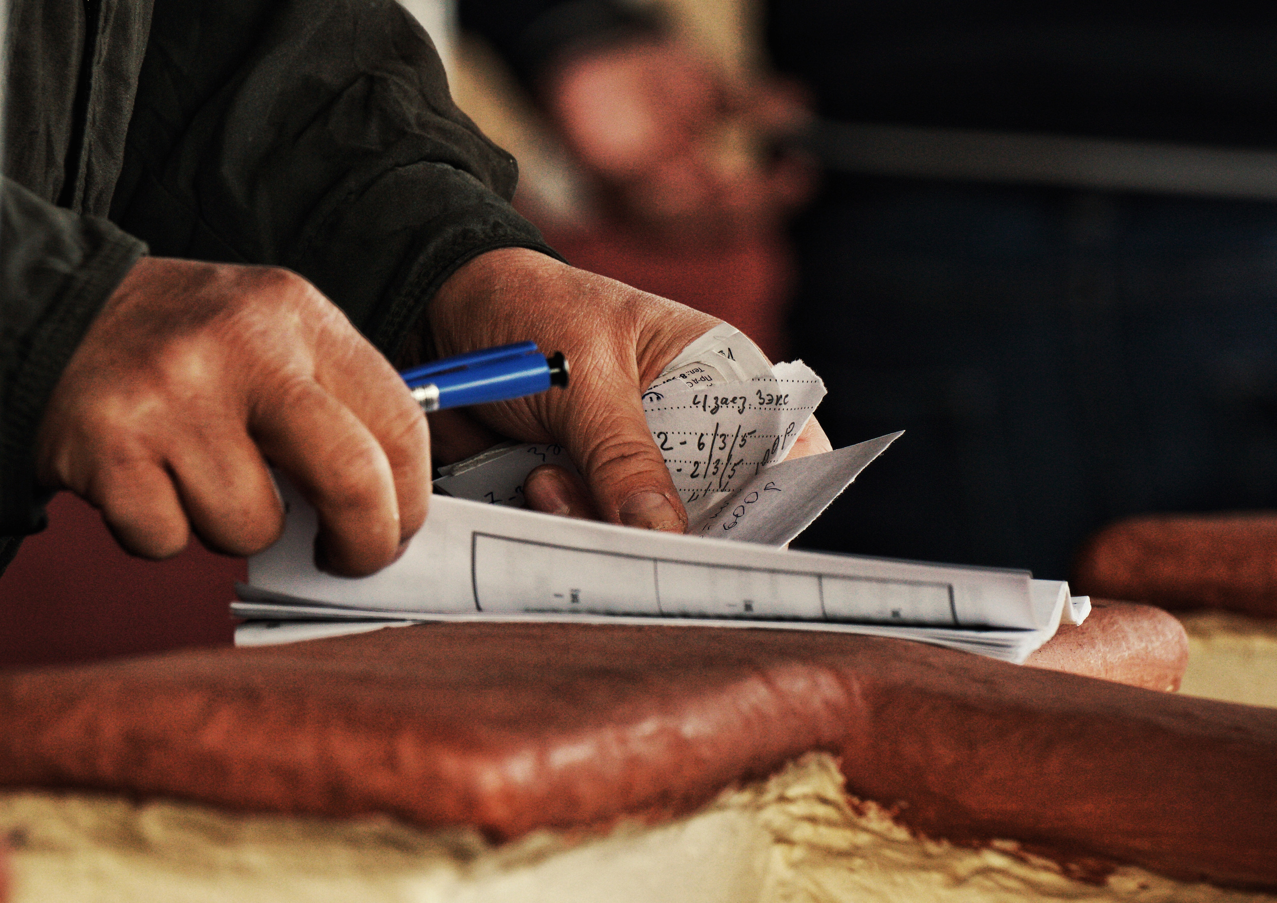 Hippodrome day. See the moment and catche. commercial and reportage