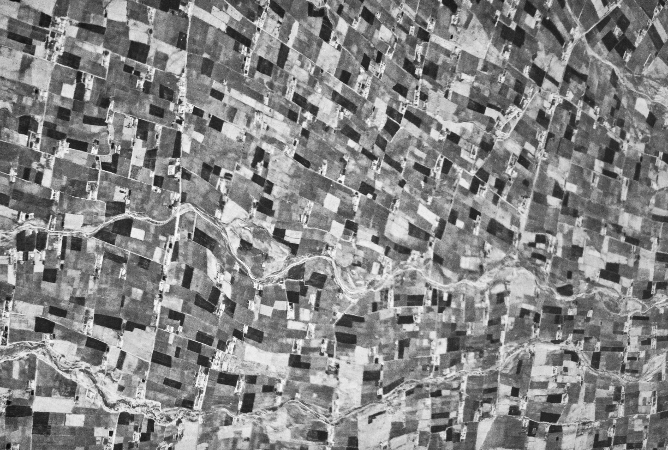 Structure and forms. See the moment and catche. commercial and reportage