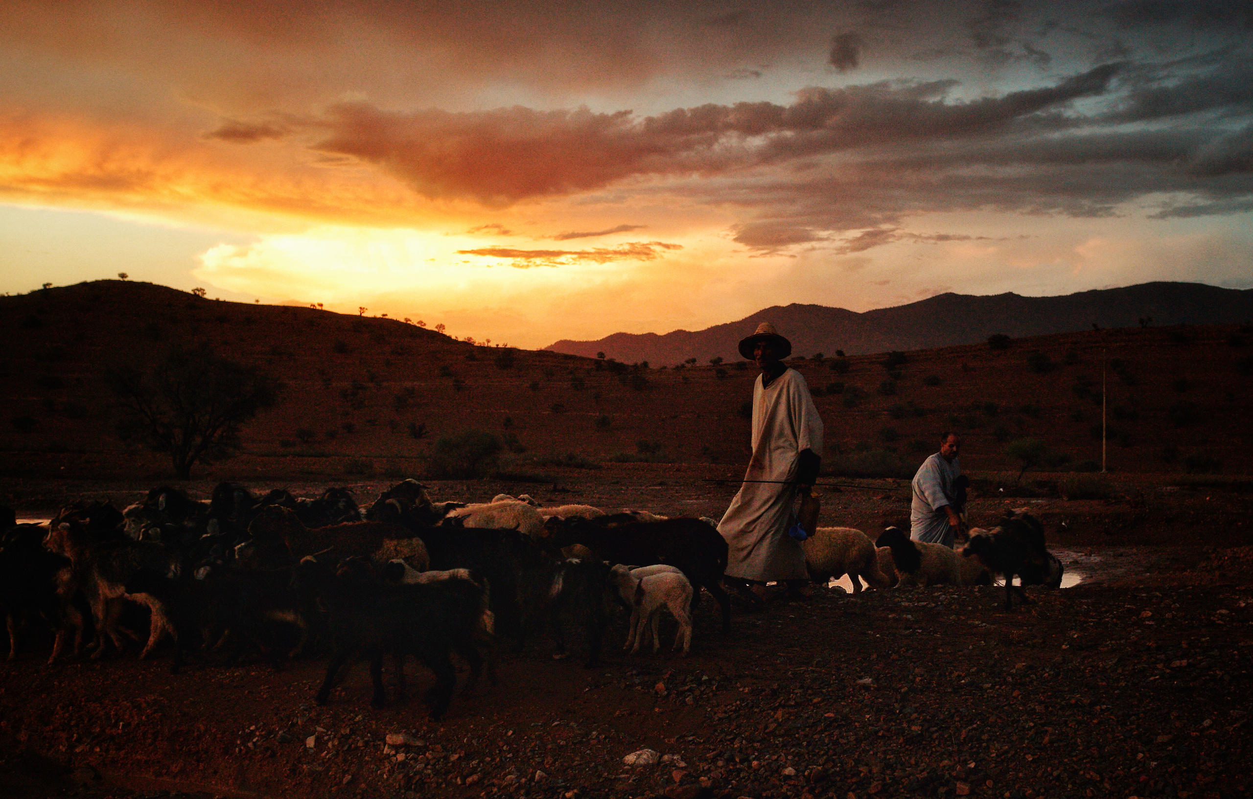 Adventure. See the moment and catche. commercial and reportage