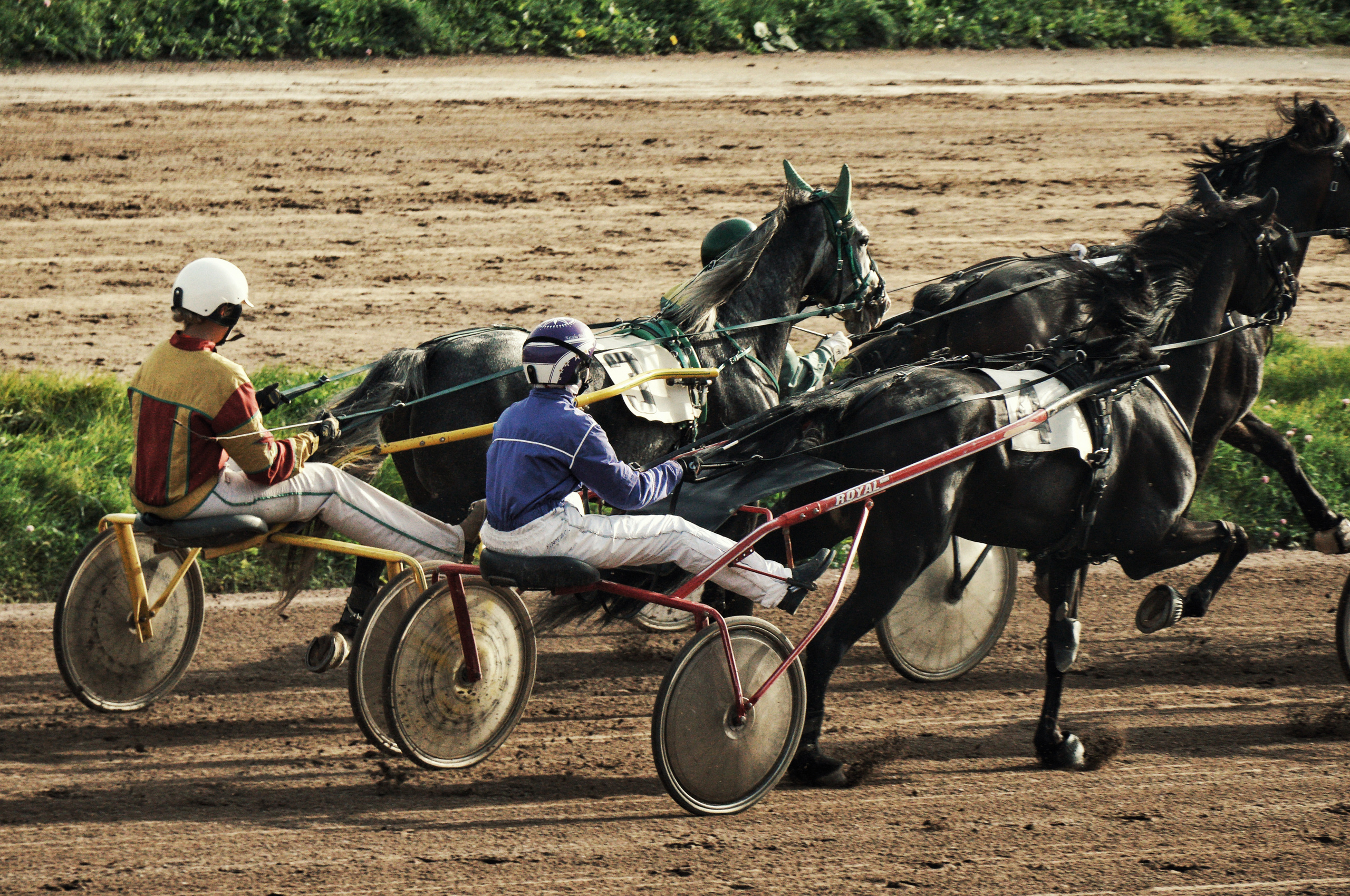 Hippodrome day. See the moment and catche. commercial and reportage