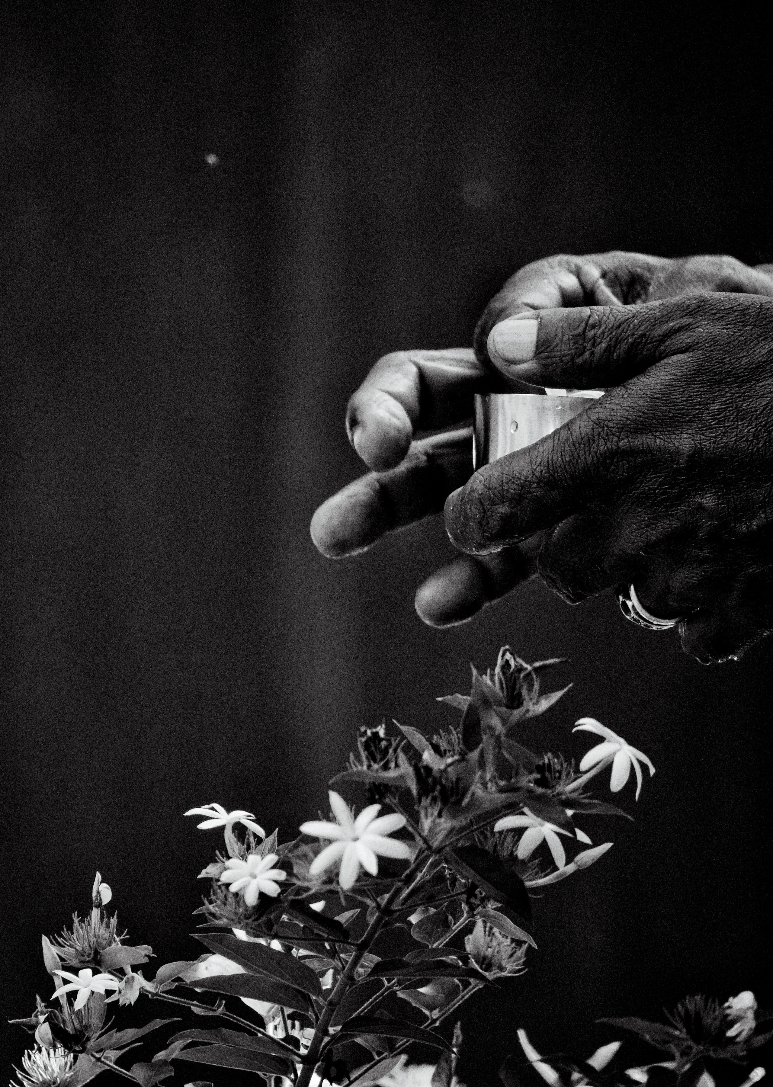 Wallpaper. See the moment and catche. commercial and reportage