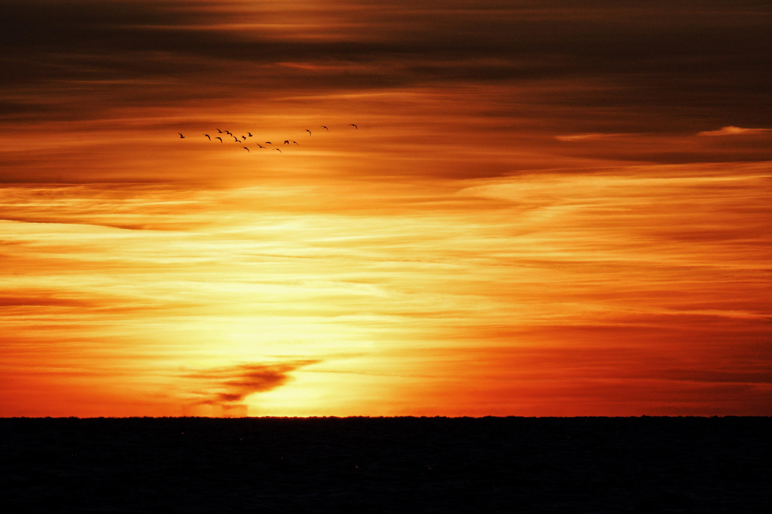 Wallpaper. See the moment and catche. commercial and reportage