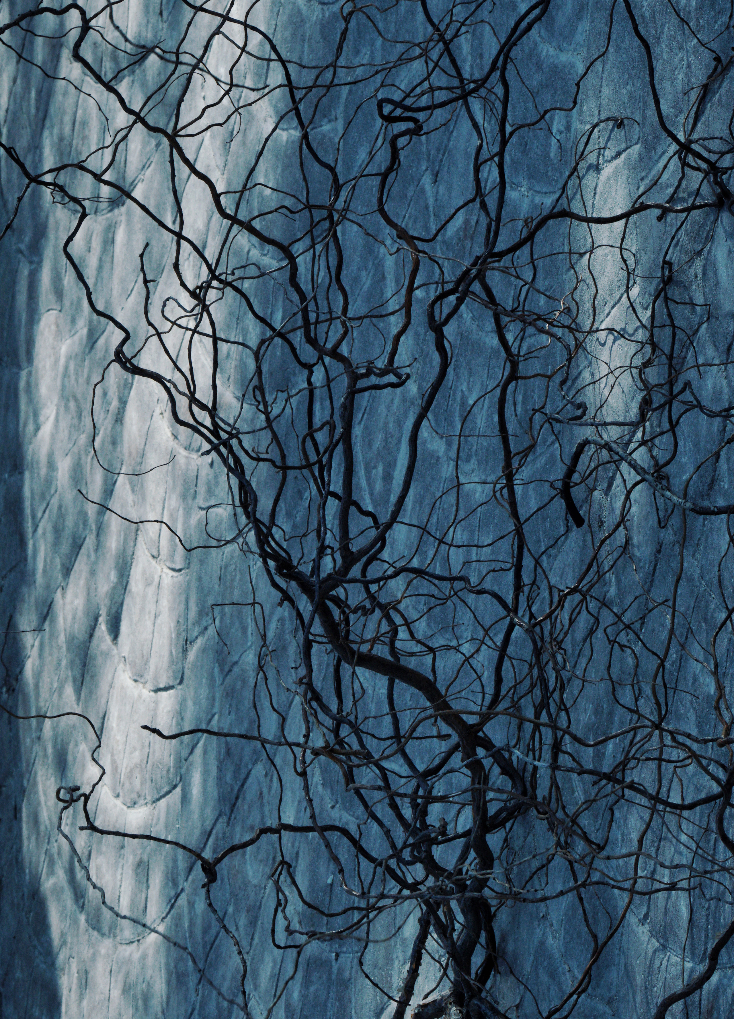 Structure and forms. See the moment and catche. commercial and reportage