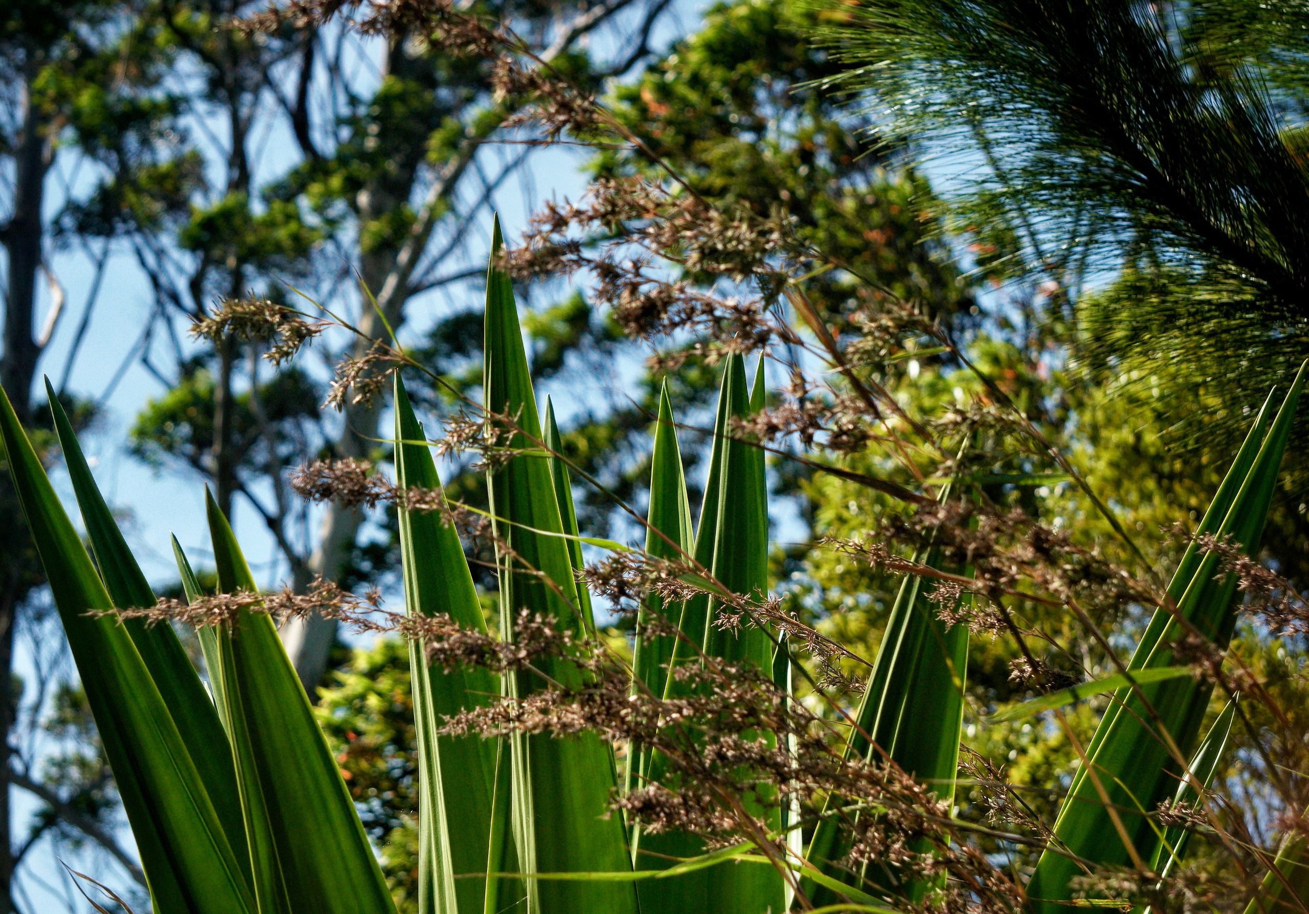 Structure and forms. See the moment and catche. commercial and reportage