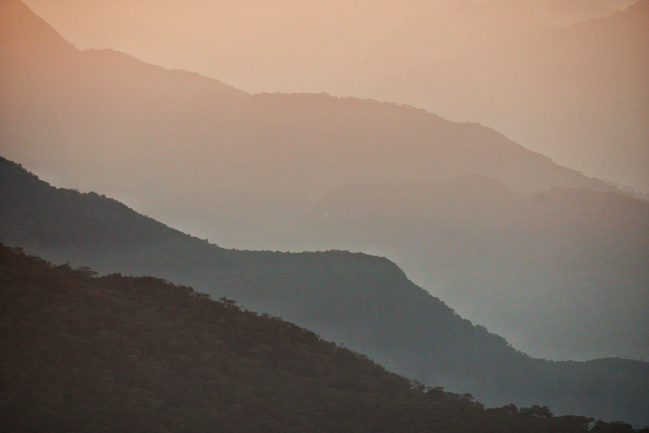 Wallpaper. See the moment and catche. commercial and reportage