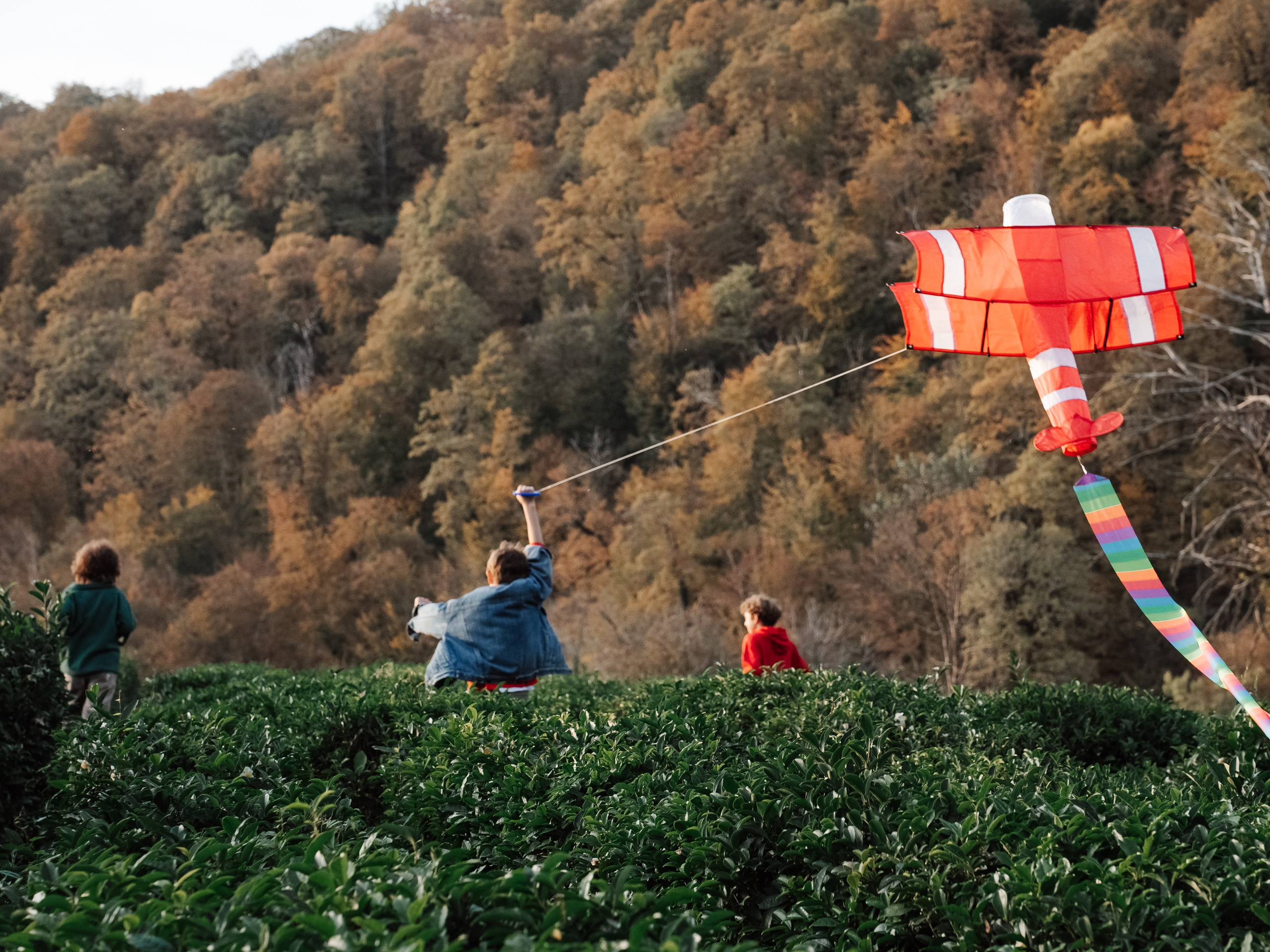 РЕПОРТАЖНАЯ СЪЕМКА. Жильцова Диана фотограф г. Сочи