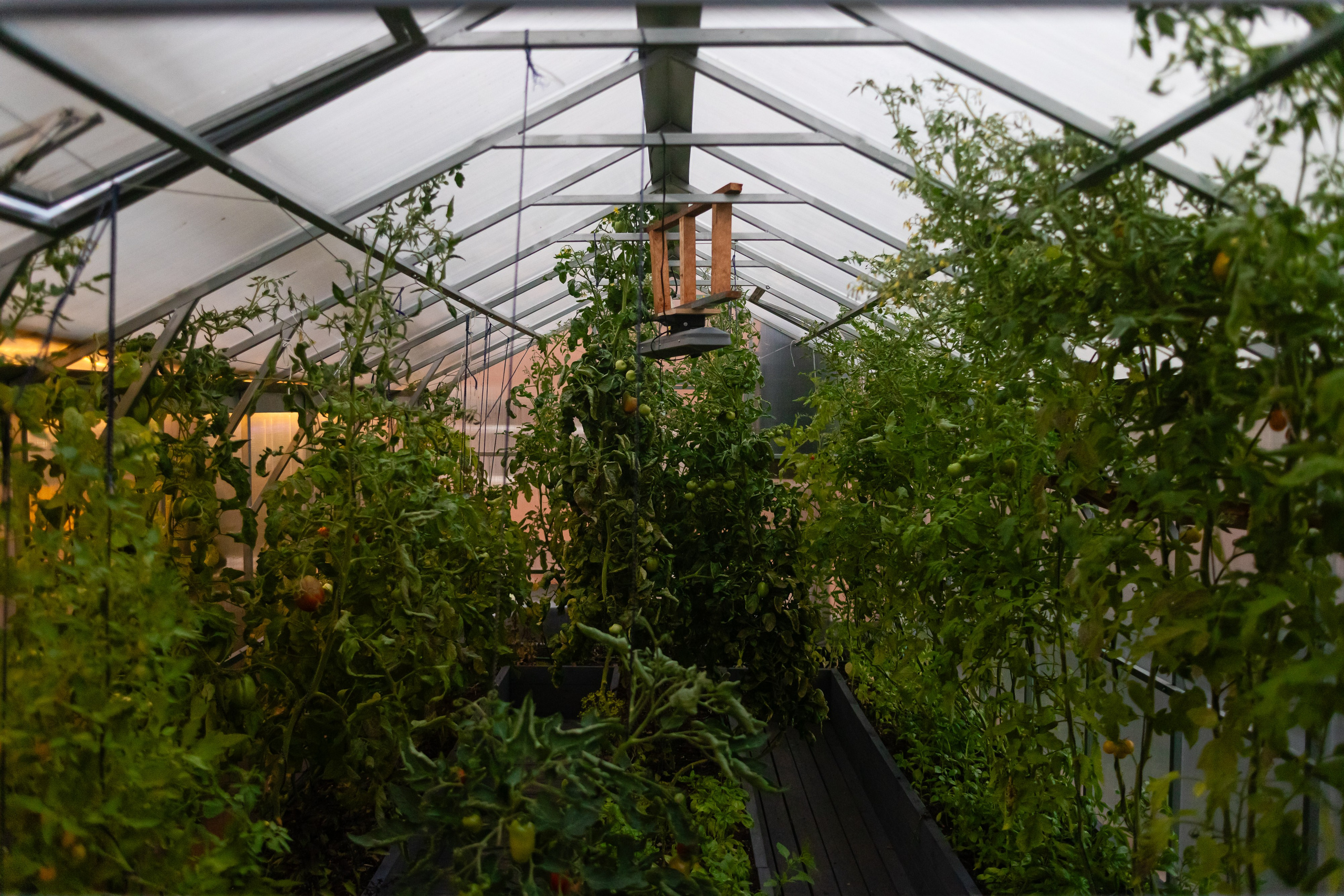 День рождения клуба «Ласточка» 2025. Фотограф Мария Немм