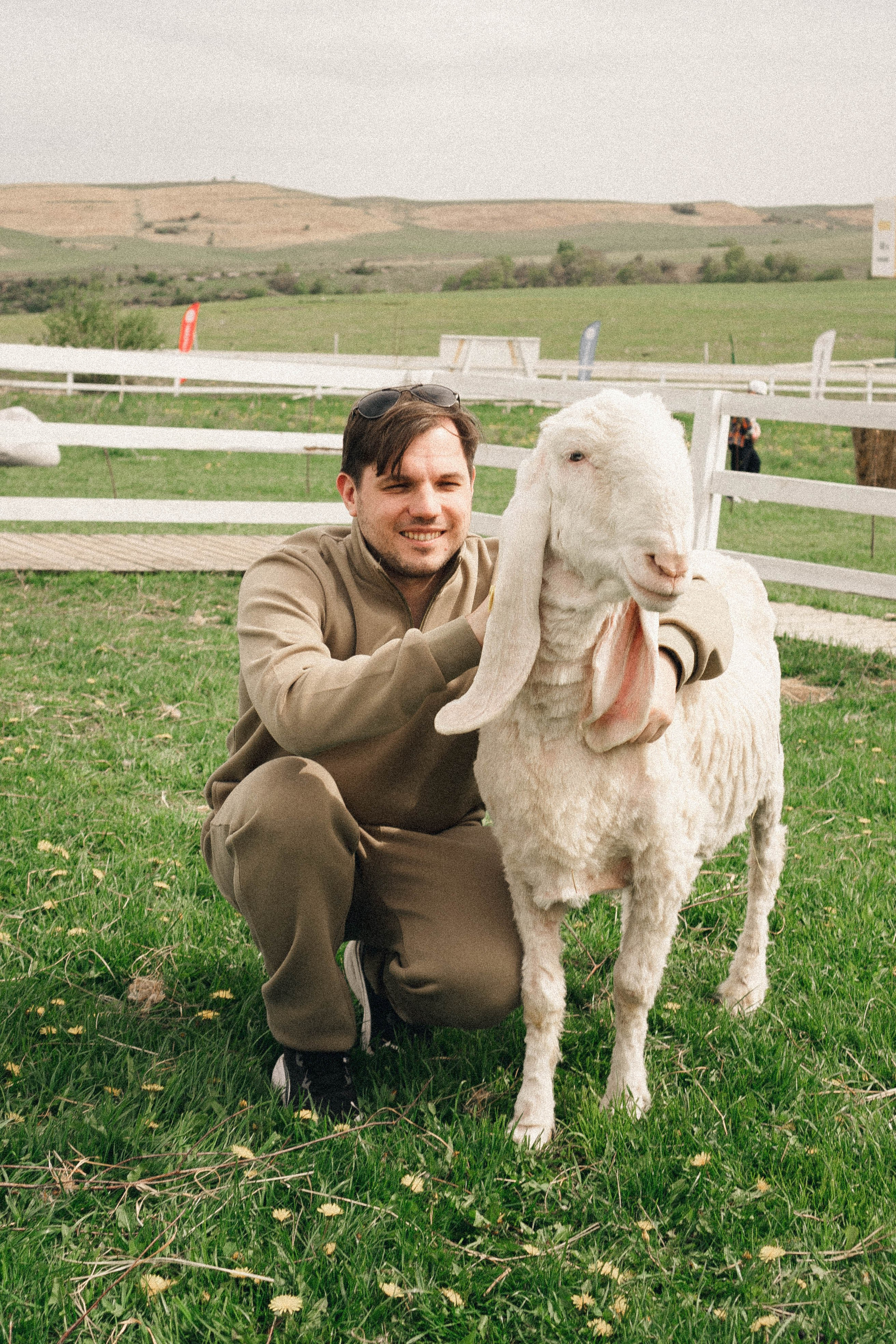 Ферма Альпак. Профессиональный фотограф, Санкт-Петербург — Виктория Богомолова