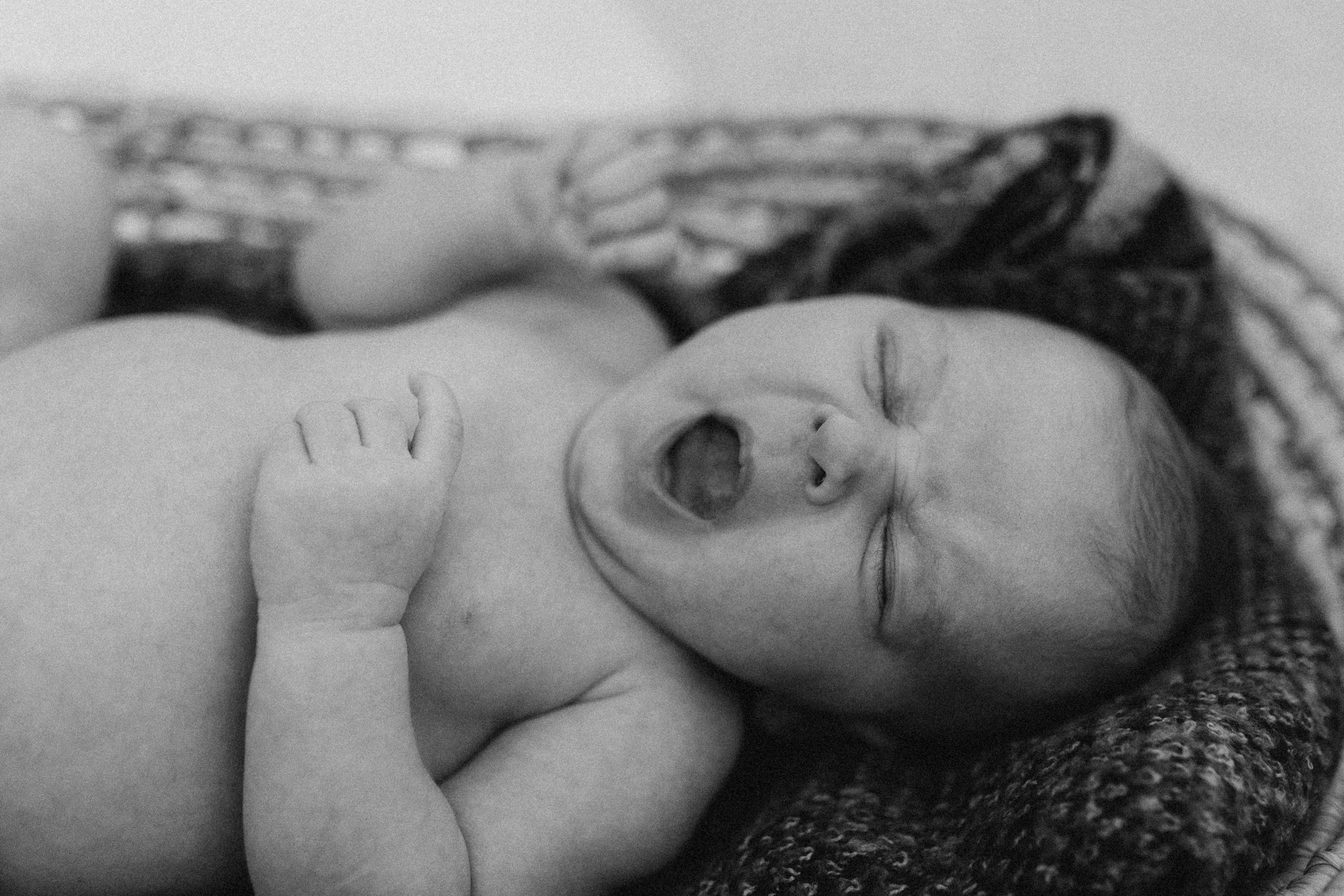 Séance newborn Sasha. Photographe des familles et enfants à Nantes et alentours