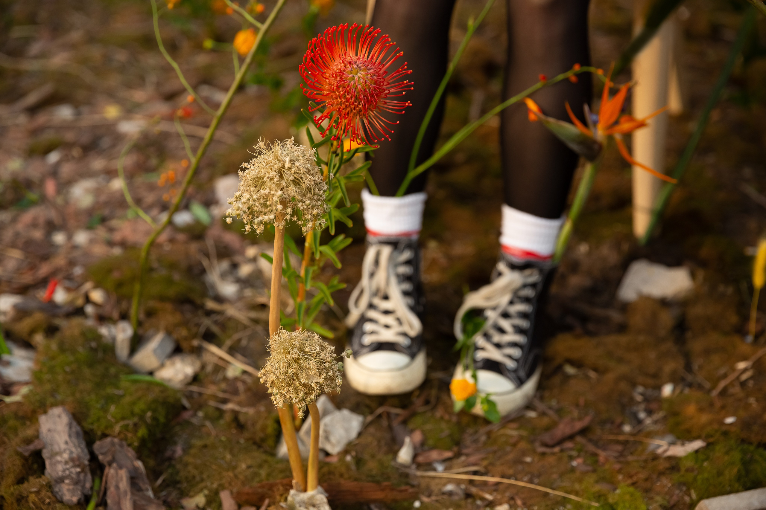 Флористика, проект, азия, цветы, фотограф, фотосессия. Профессиональный фотограф Инесса Новикова в Москве