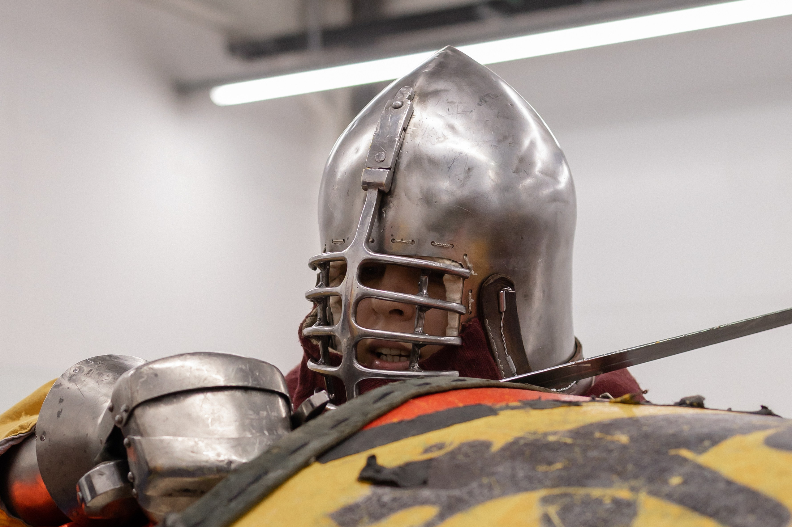 Турнир средневековых рыцарей