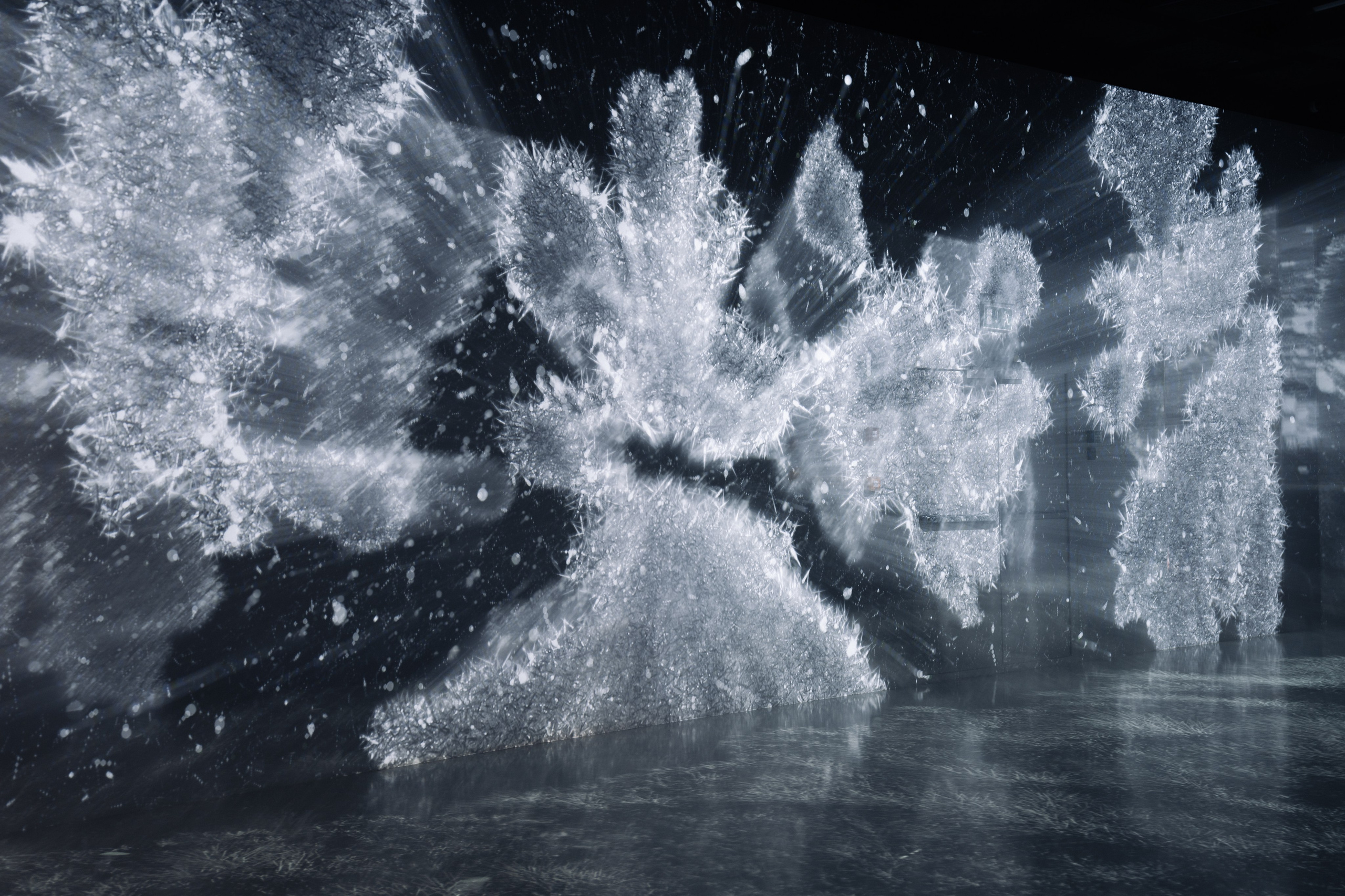 Generative Gallery & Luminar X, Making Magic. @tomrus: Рустам Шагиморданов — фотограф