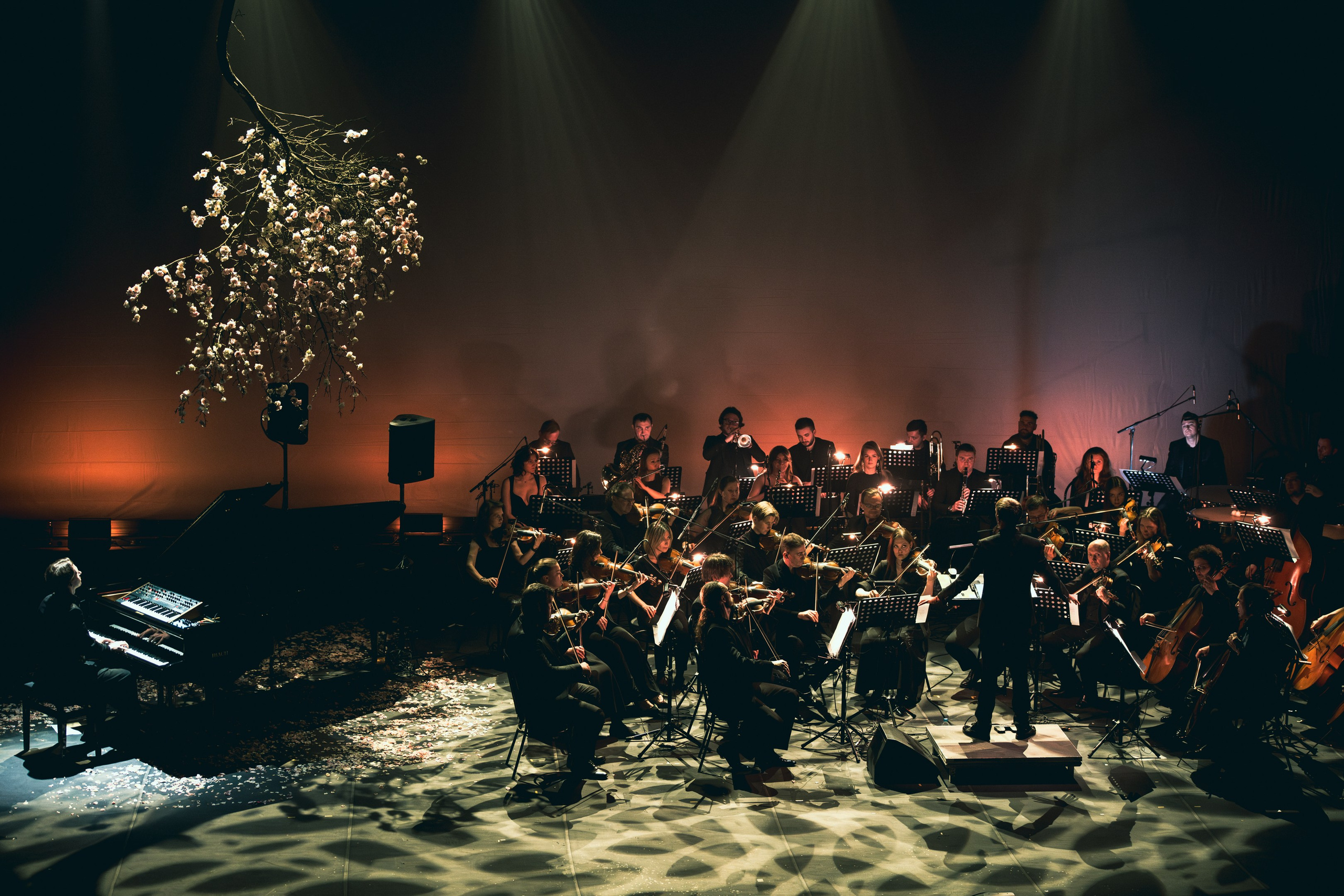 Никола Мельников / 2024. OOPS