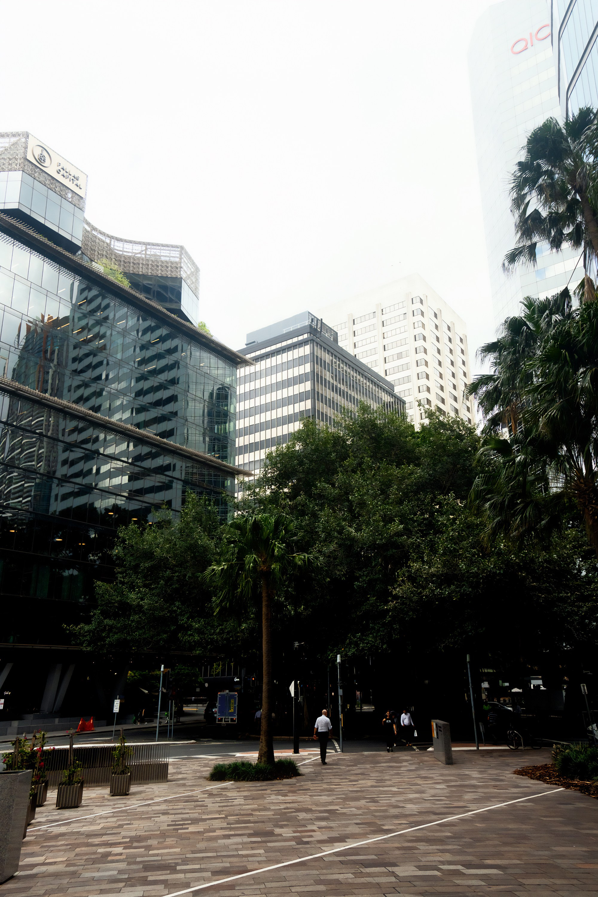 Австралия. Фотограф в Хабаровске. Фотография за 24 часа