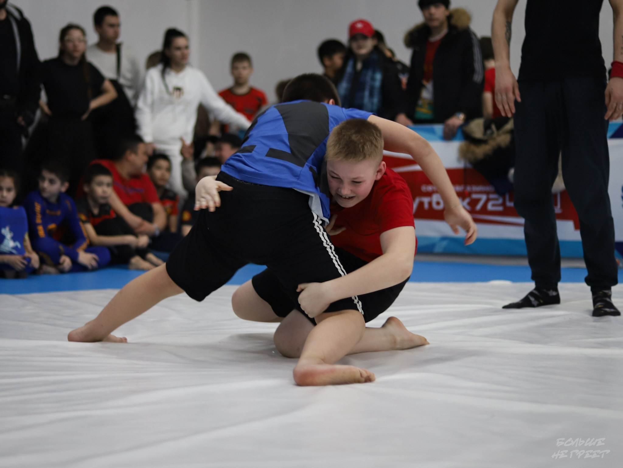 GORILLA PRIDE CUP. Больше не греет