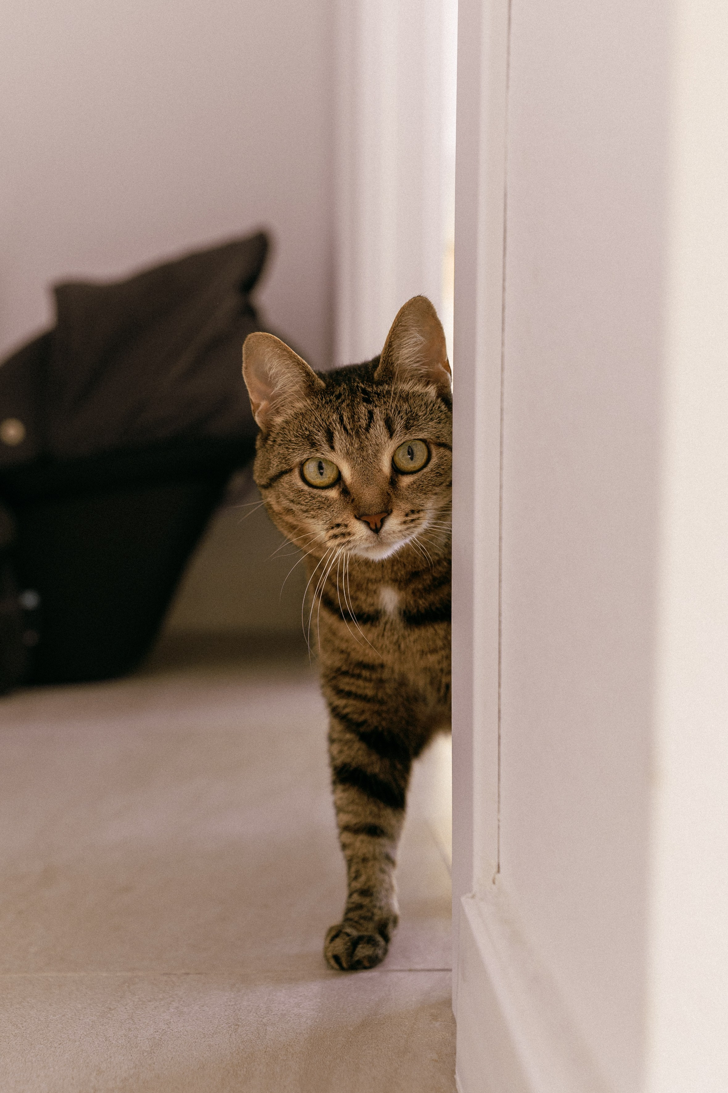 Роддом. Свадебный фотограф Курзина Ольга | Москва