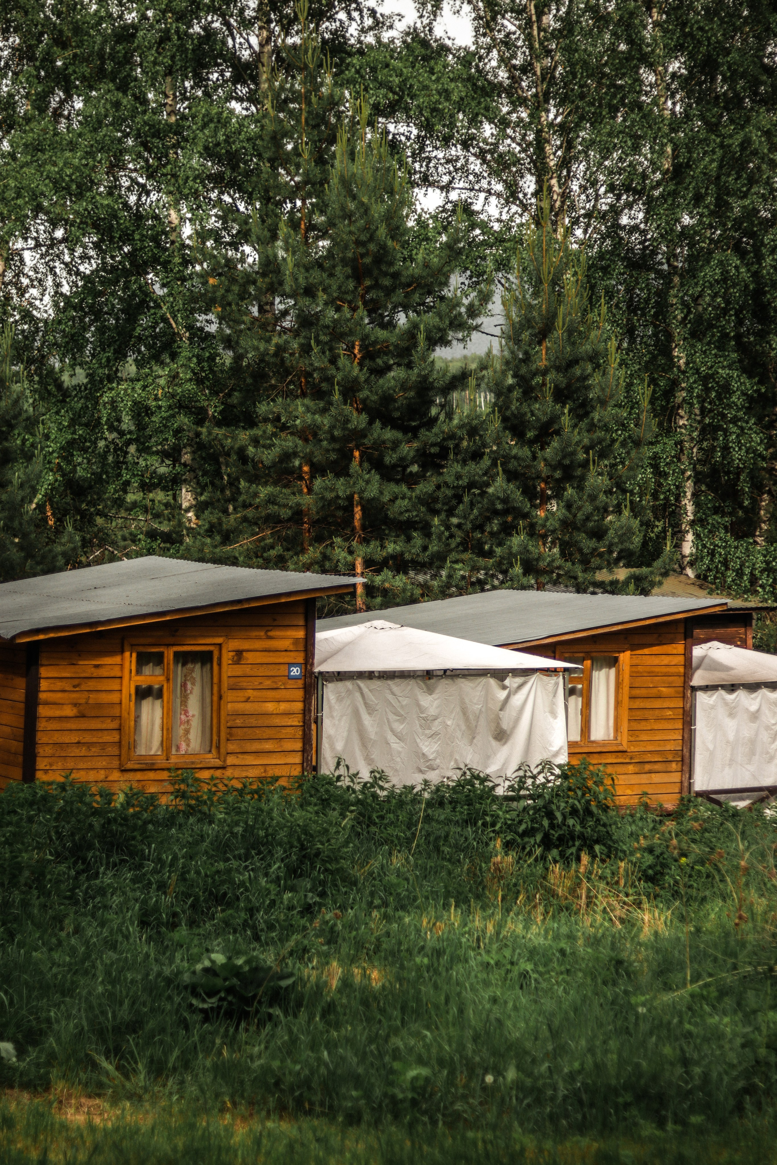 «Красный камень» база отдыха, респ. Алтай. Контент фотограф Дмитрий Борисов