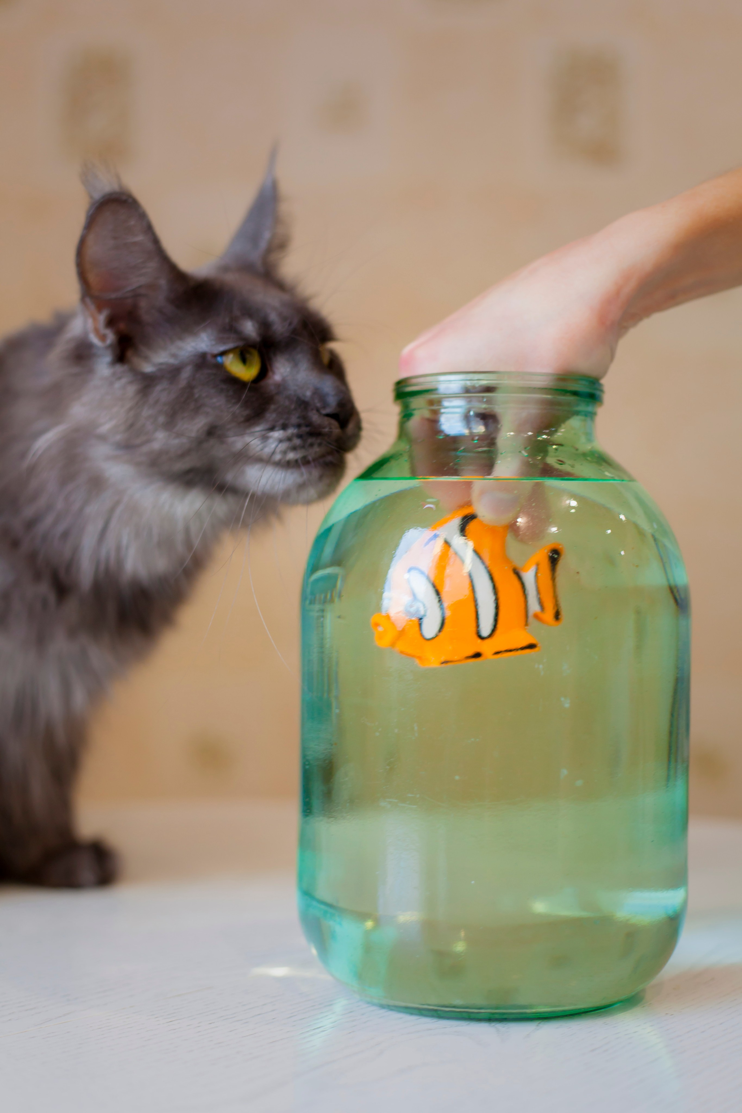 Полина, маркетолог. Фотограф Александра Степанова