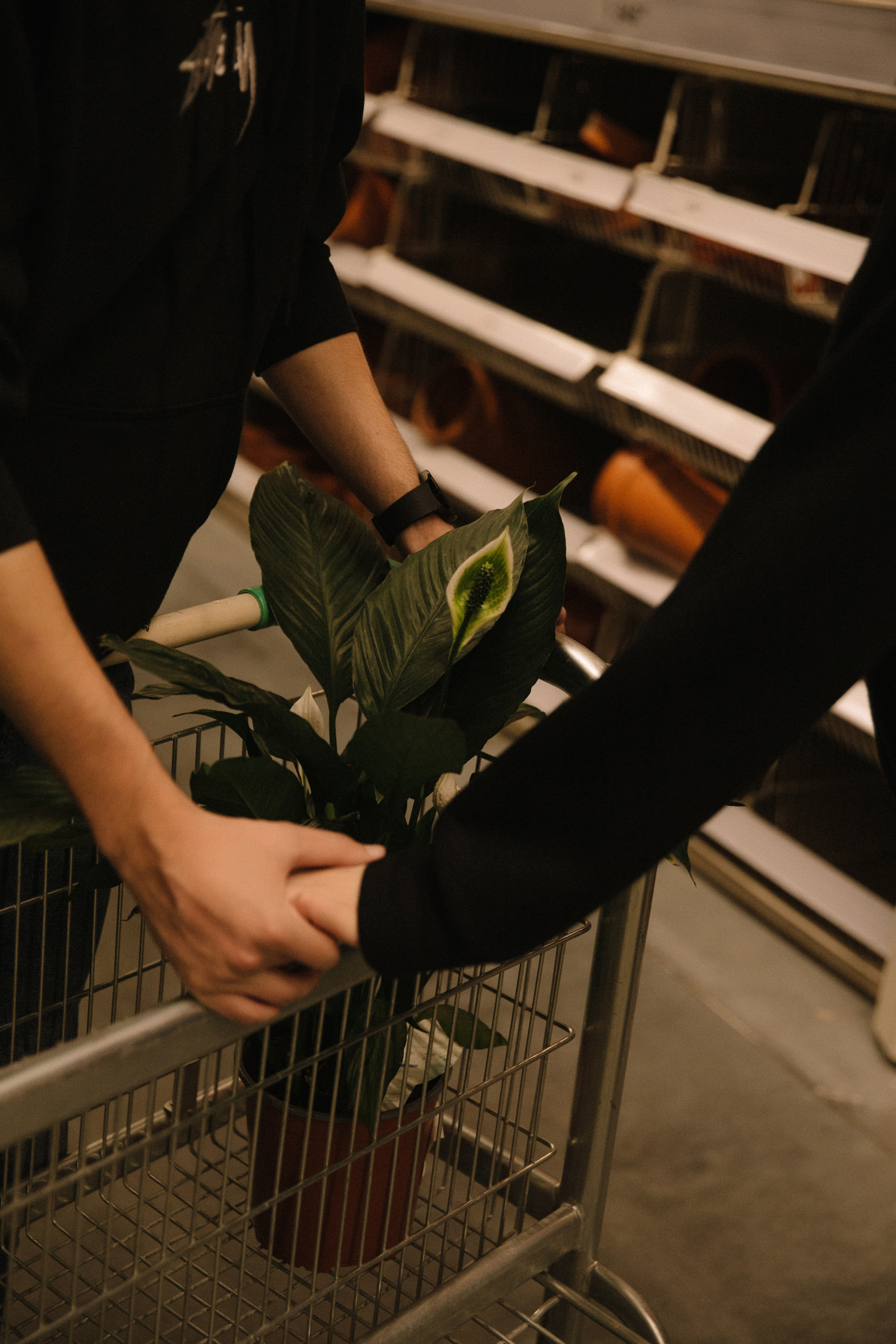 Любовь в Леруа. Фотограф Владивосток Анастасия Nensyphoto