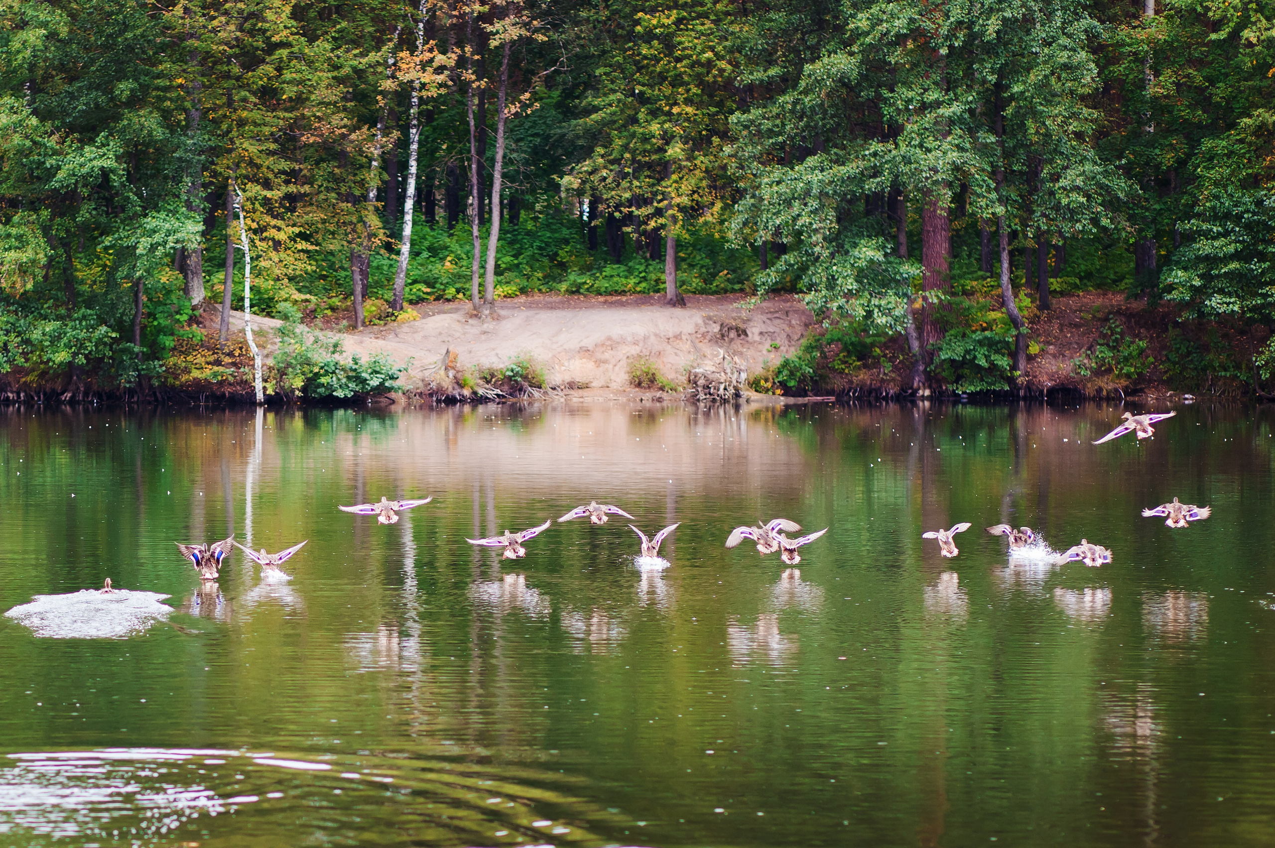 Красота Заречного. Репортажный, семейный и детский фотограф в Пензе и Заречном Арина Ермилова. Картины барельеф на заказ