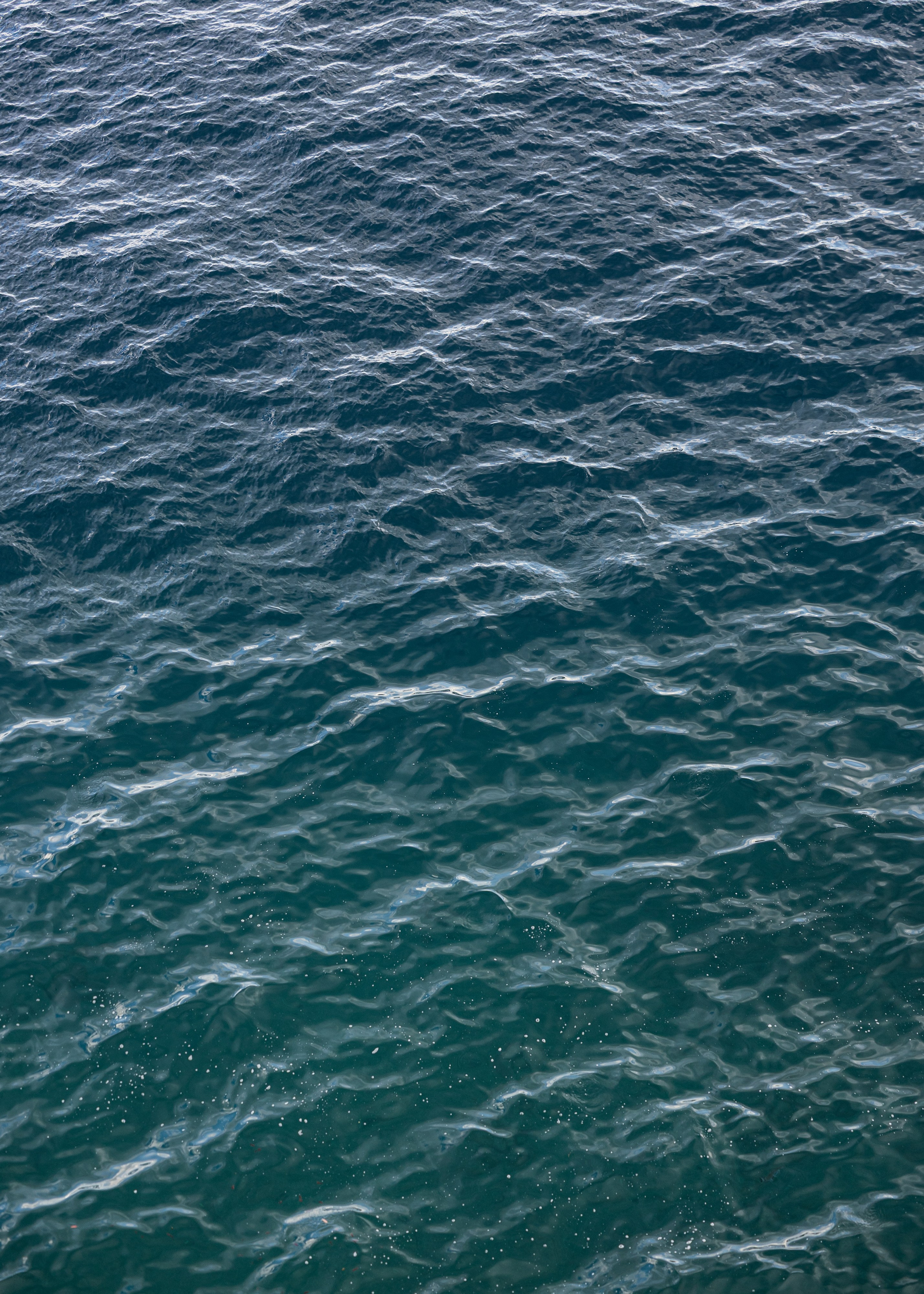 Sorrento, Villa Aster. Galina and Nikita Bykovets, a wedding photographer and videographer duo in Germany