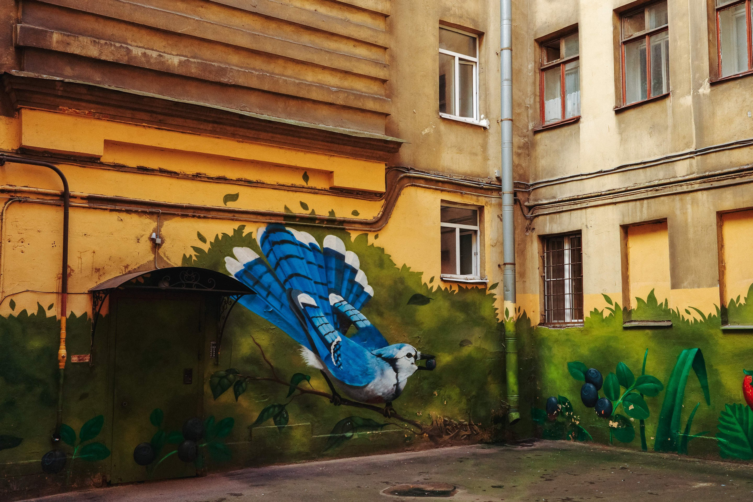 2024.08. Фотограф Алексей Алексеев