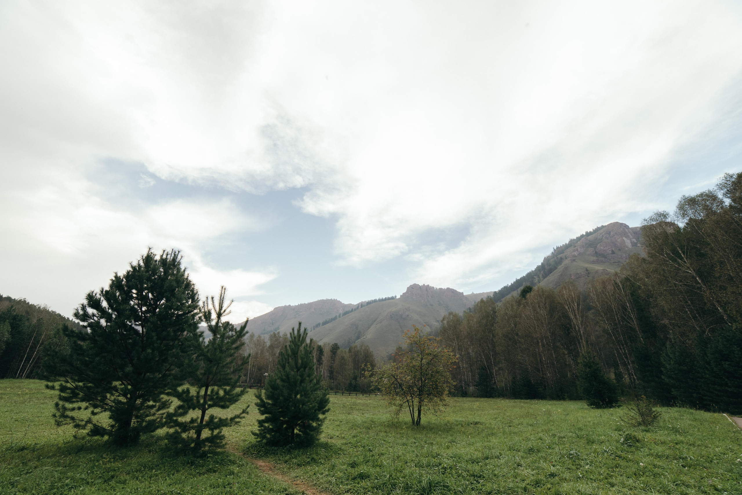 Свадебный день Леонида и Алены. Свадебный и семейный фотограф в Белгороде Вадим Касторных