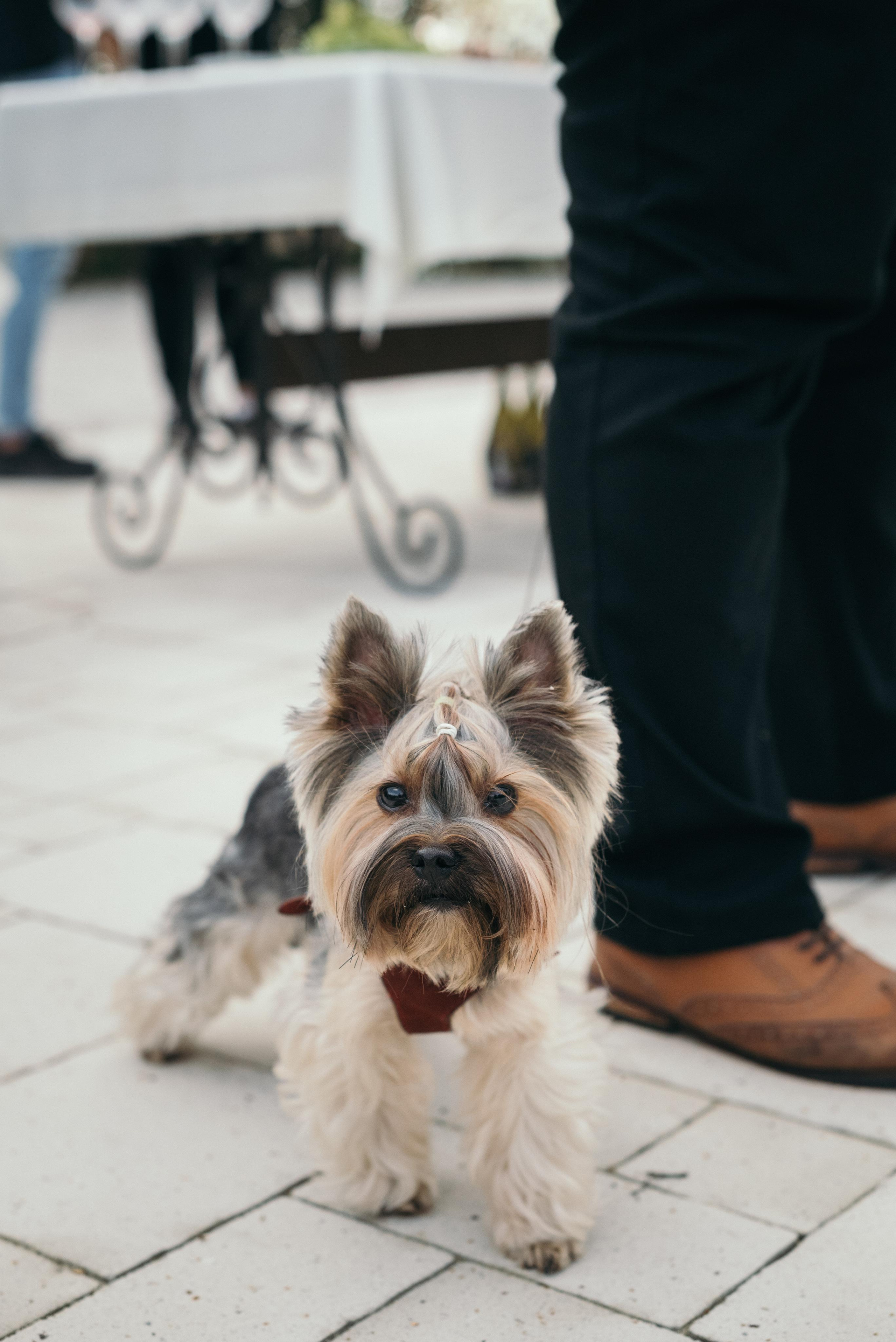 Александр и Мария. Свадебный и семейный фотограф в Белгороде Вадим Касторных