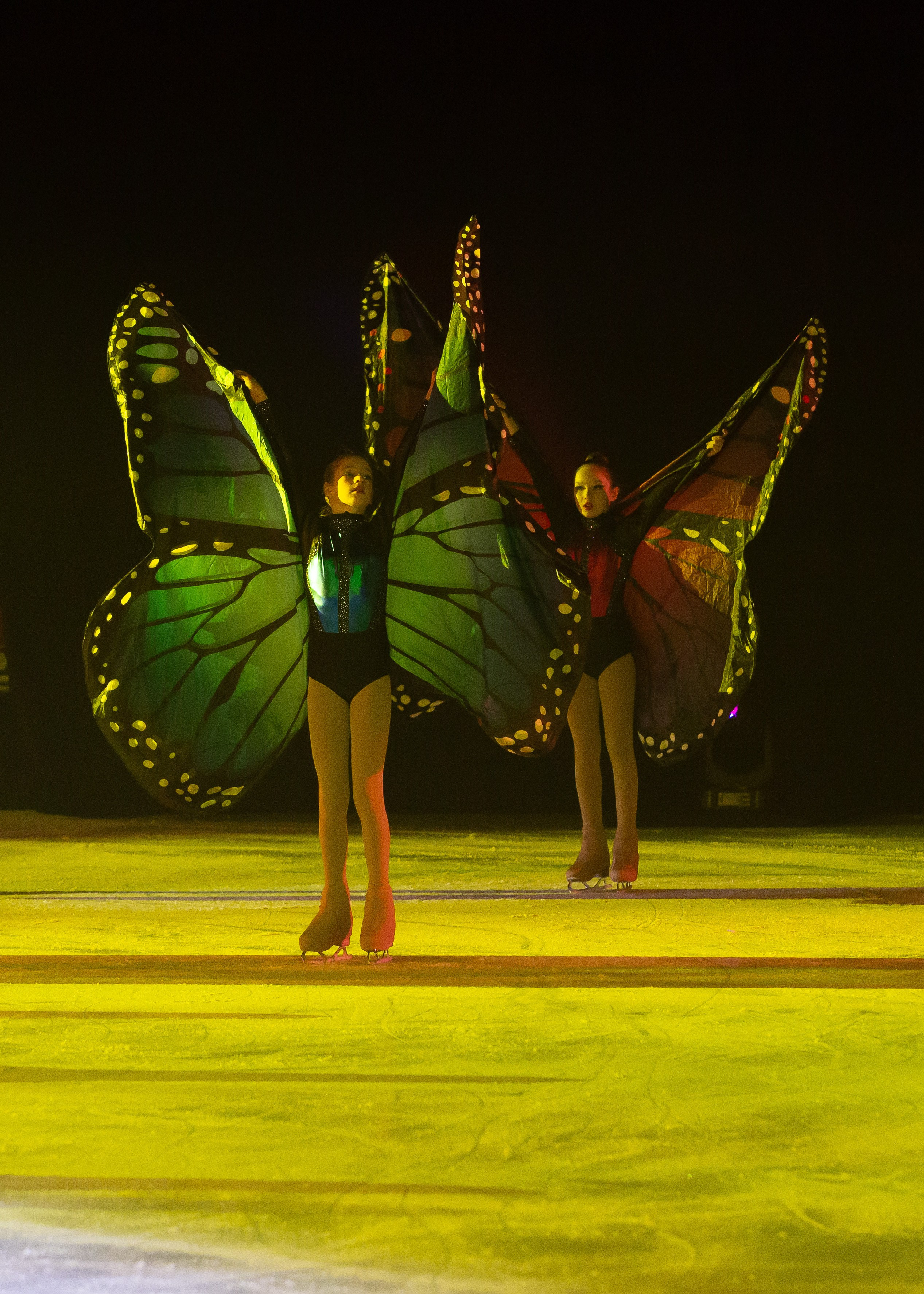 Сказочное ледовое шоу Конек Горбунок. Детский театр на льду АЛЕКО