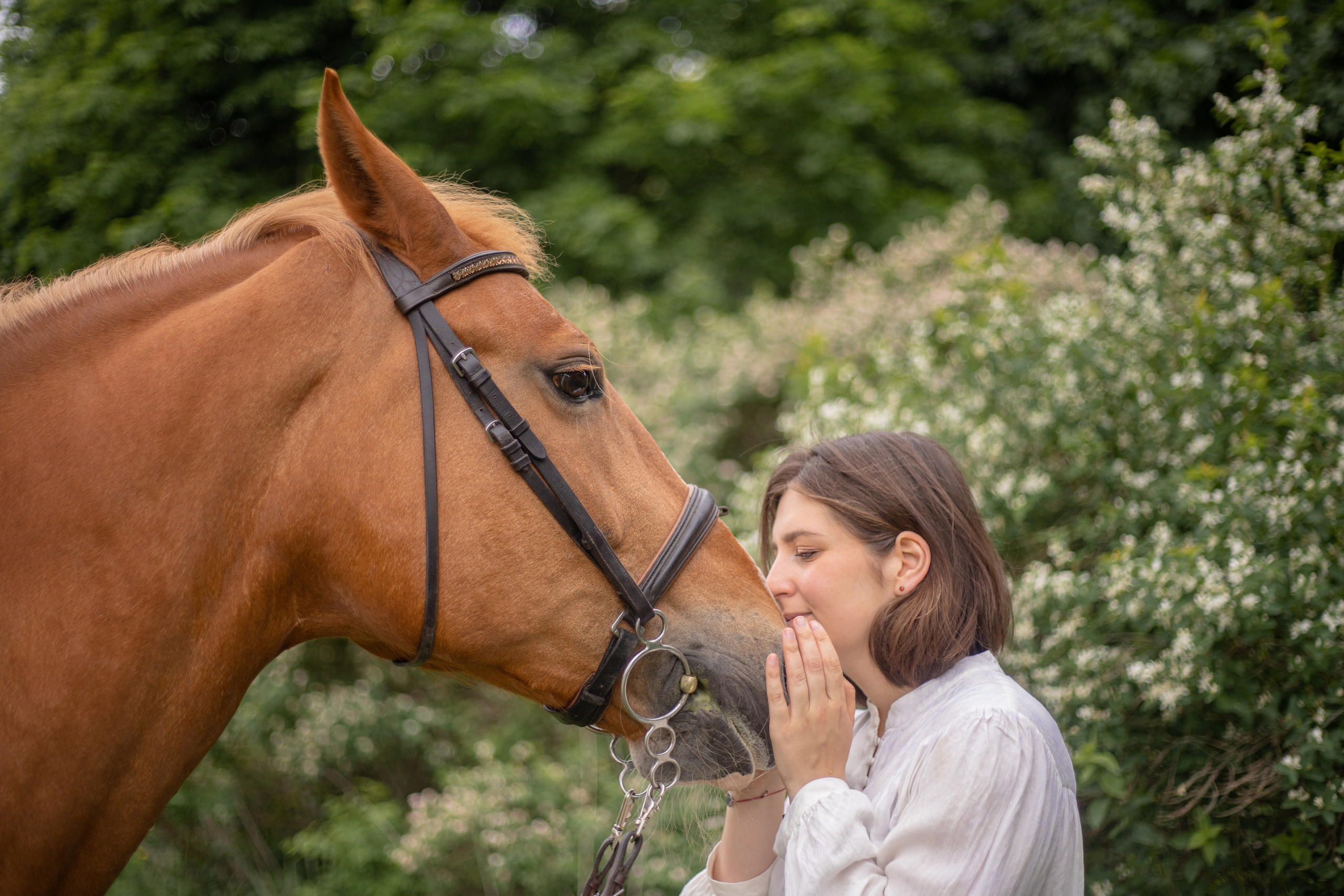 Фотосессии с лошадьми. Фотосессии с лошадьми в Москве и МО