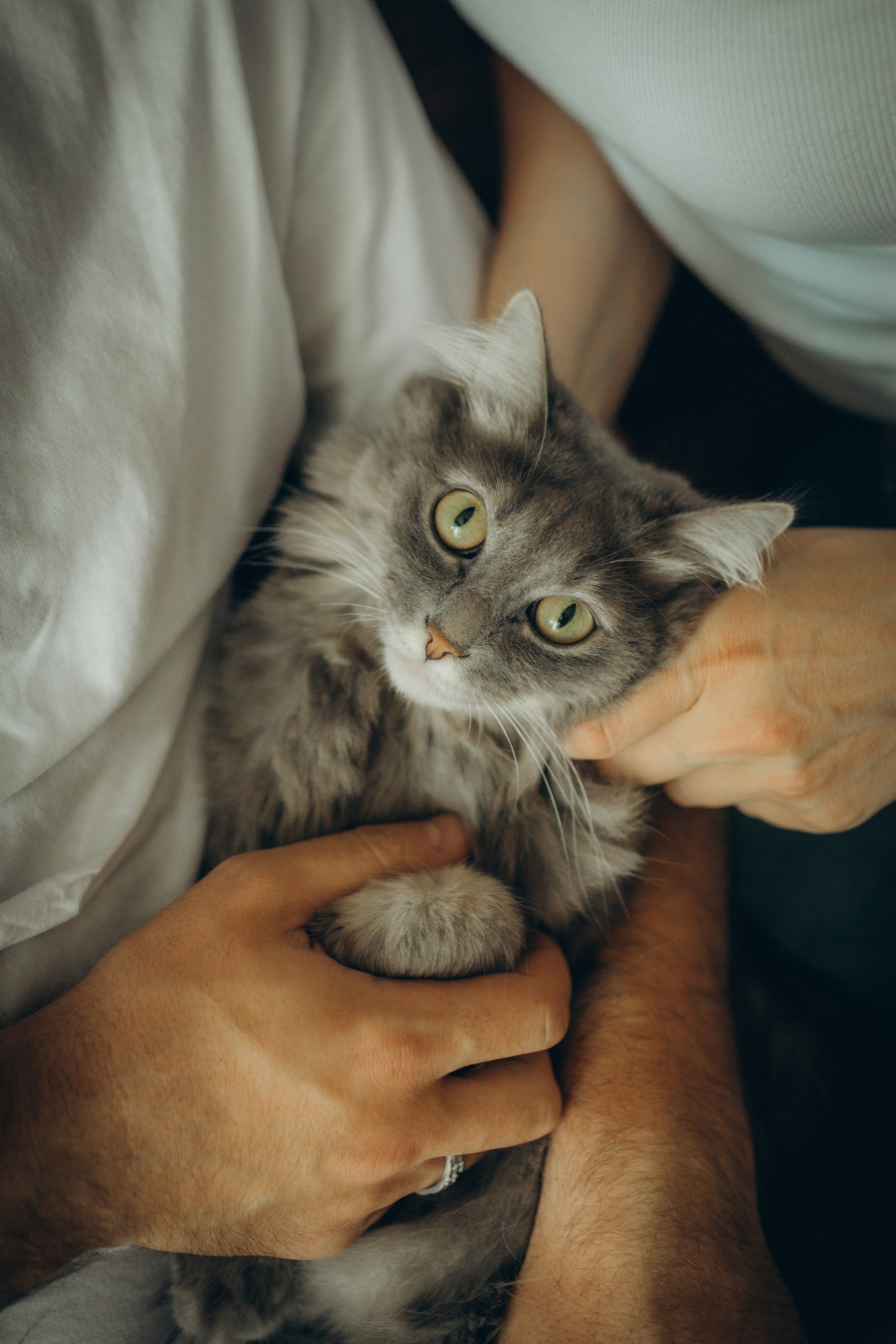 Family moments. Семейный фотограф и фотограф на роды в Ростове-на-Дону Мухина Виктория