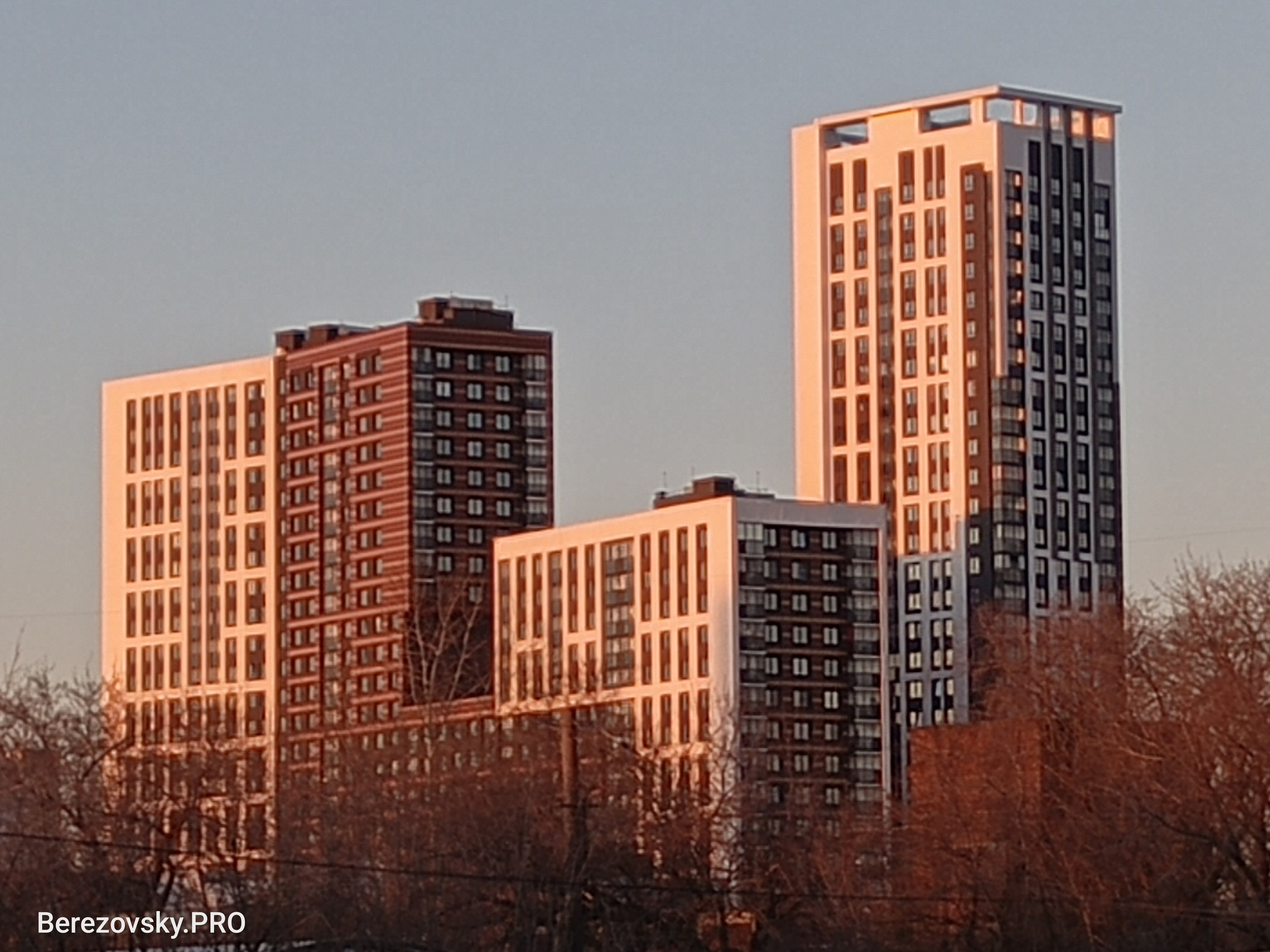 Солнечный. Фотограф в Санкт-Петербурге Березовский Даниил