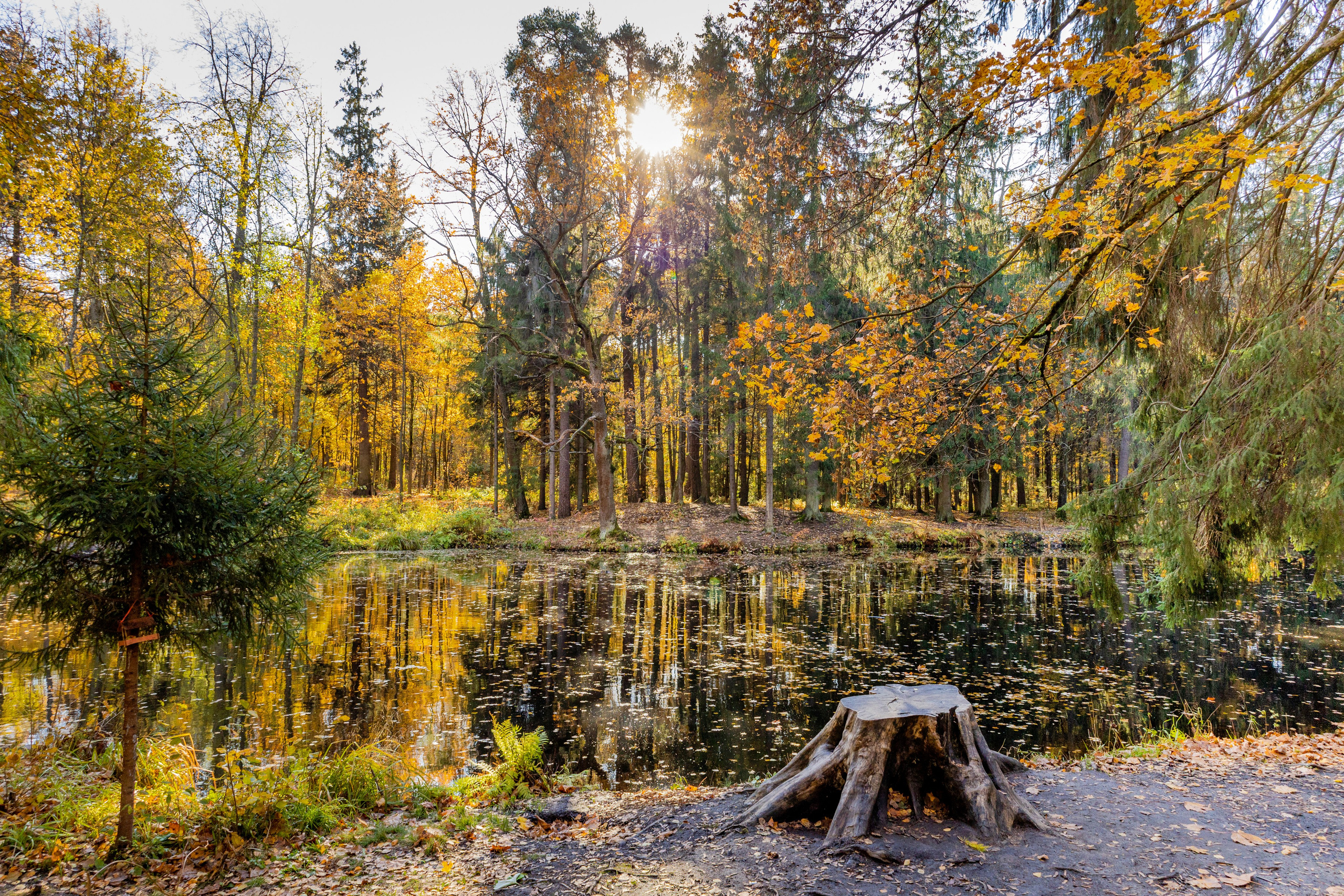 Природа, пейзажи. Гергерт Ксения фотограф в Санкт-Петербурге