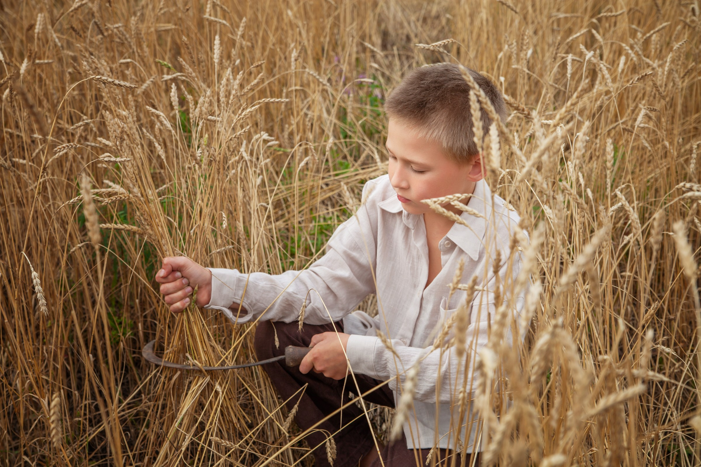 Дети в поле. Детский и семейный фотограф в Бердске и Новосибирске Дарья Гребнева