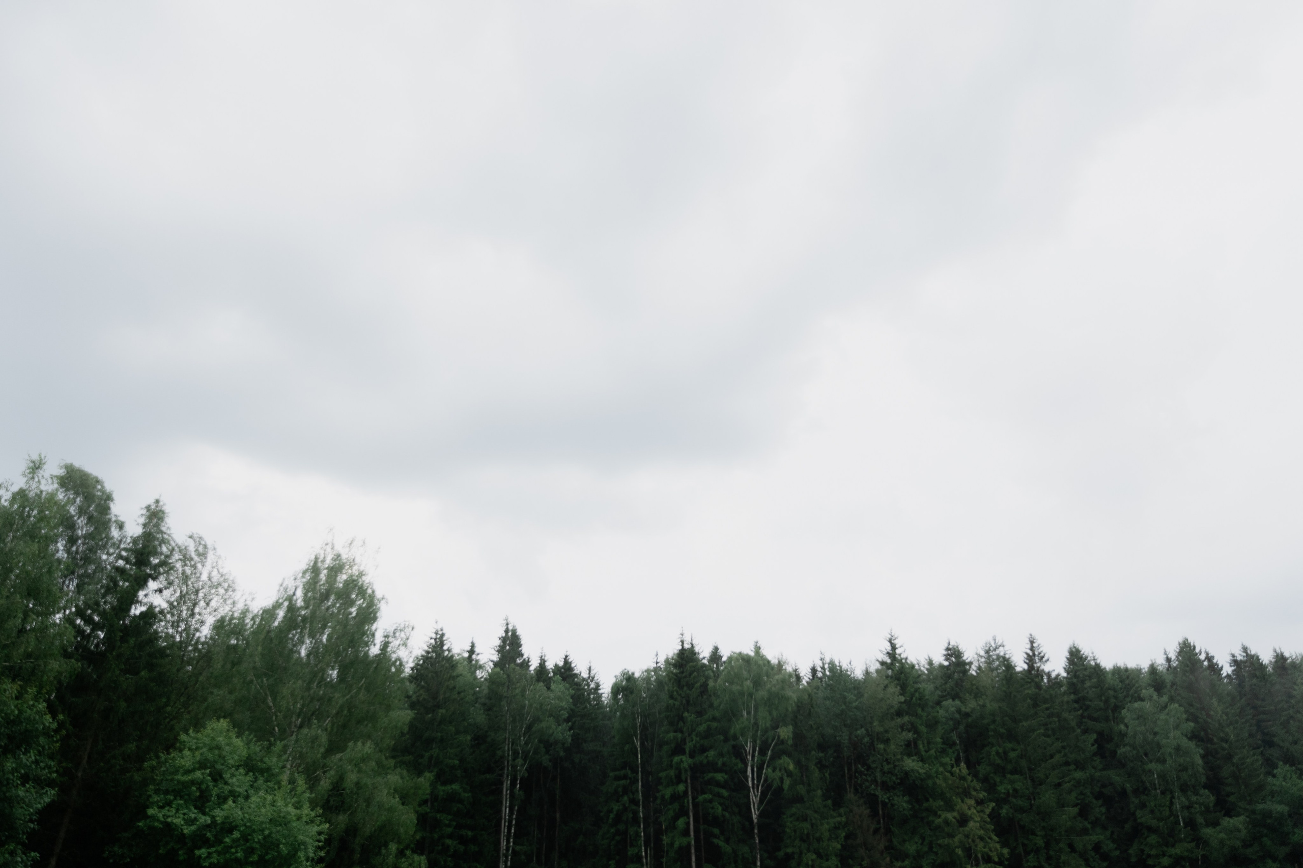 Влад Ира Royal Hall 1.07.2024. Свадебный фотограф Кристина Винокурова