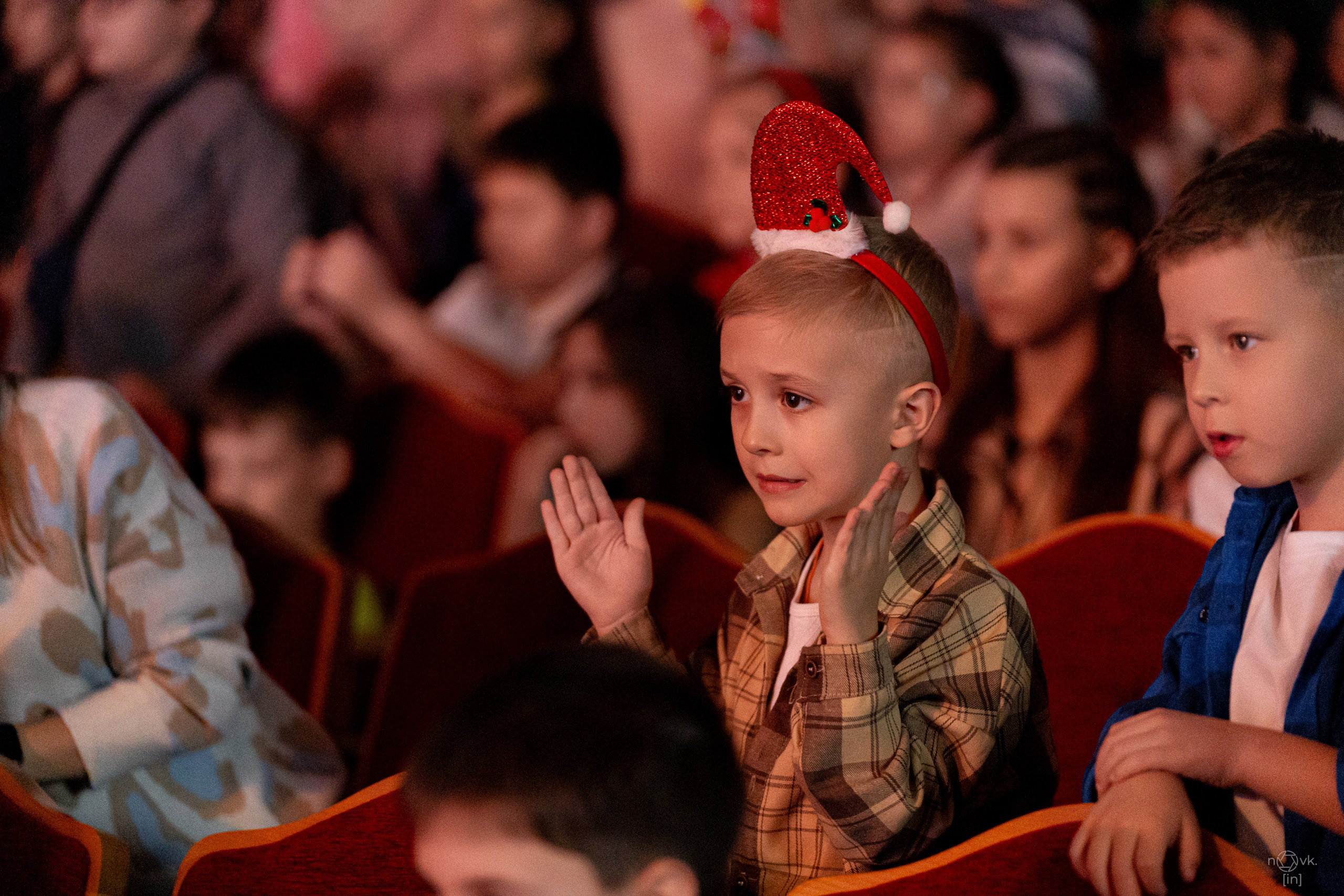 Ёлка. ФОТОГРАФ ИВАН НОВИКОВ | СТАВРОПОЛЬ
