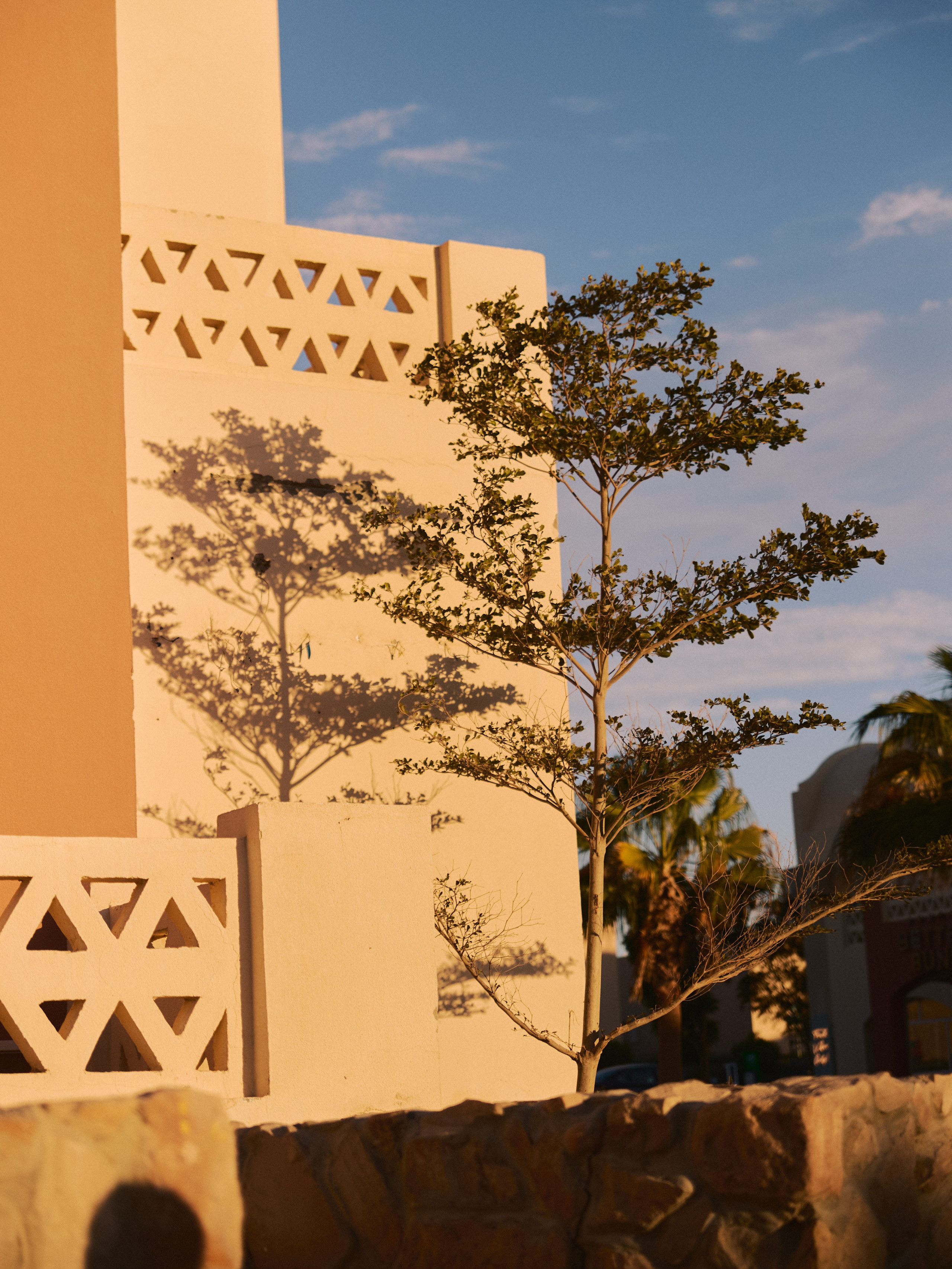 Природа сквозь. Jorgis Talè — photographer, kind person, teacher of arts and other mag