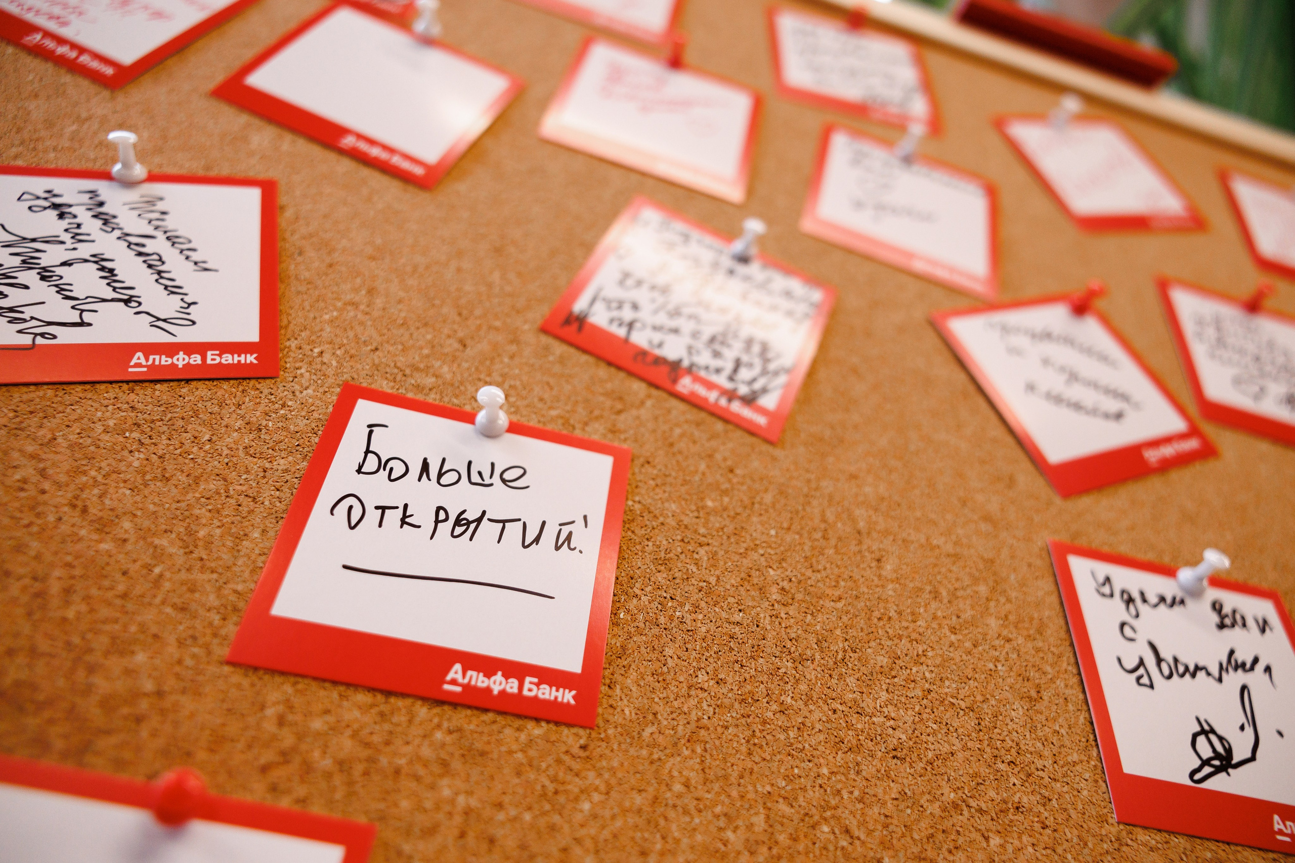 Открытие офиса Альфа Банк. Фотограф Ставрополь Петр Голубенко