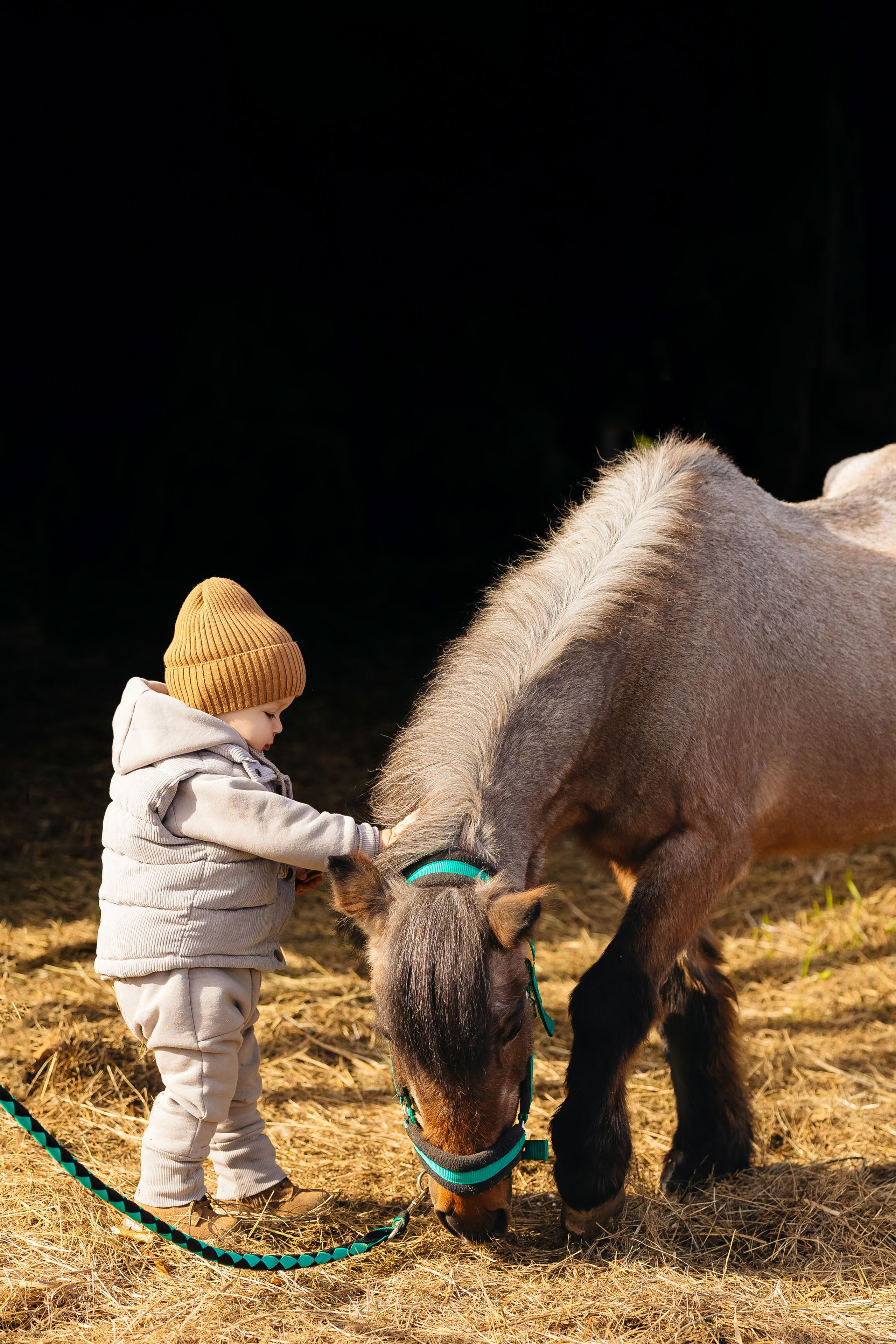 2024.10.02 Илья и лошадка. Ирина Бешляга. Фотограф в Москве и по всей России