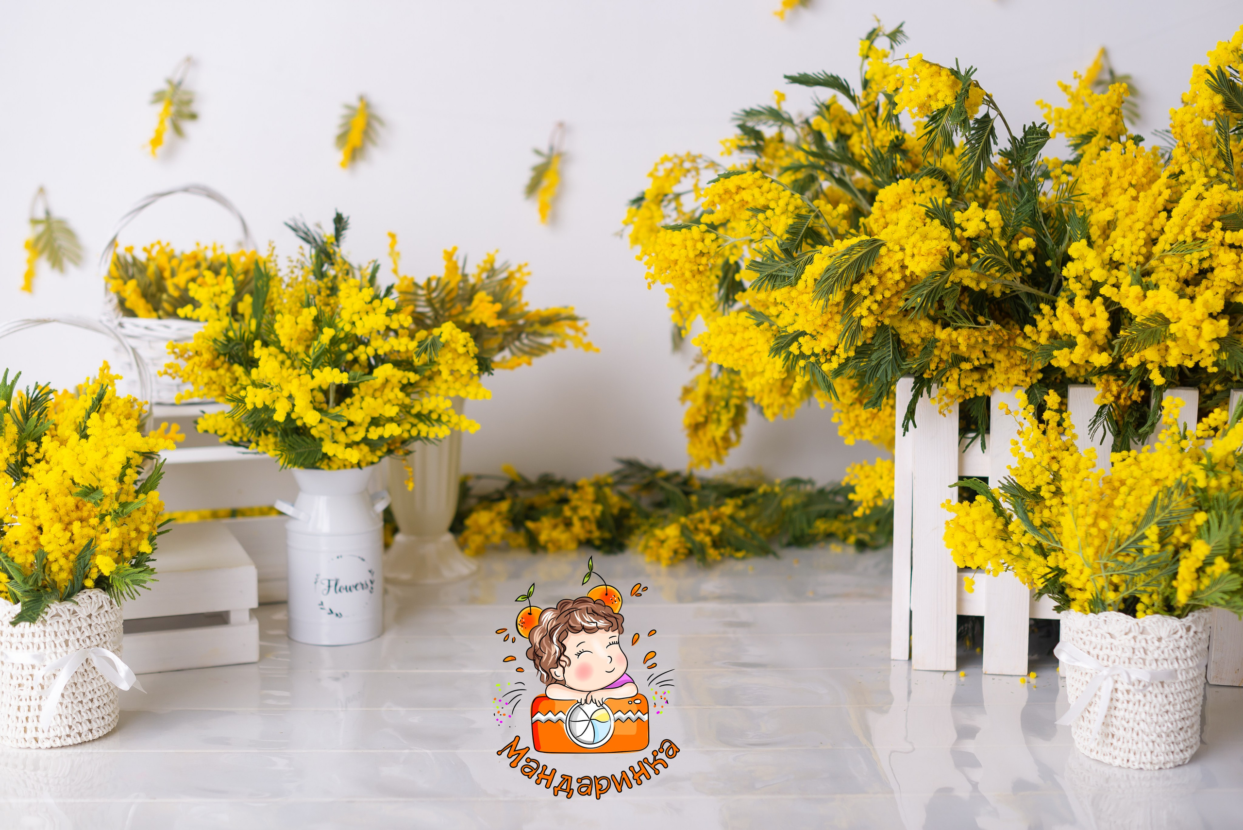 Детская Фотостудия «Мандаринка». Детский семейный фотограф Краснодар