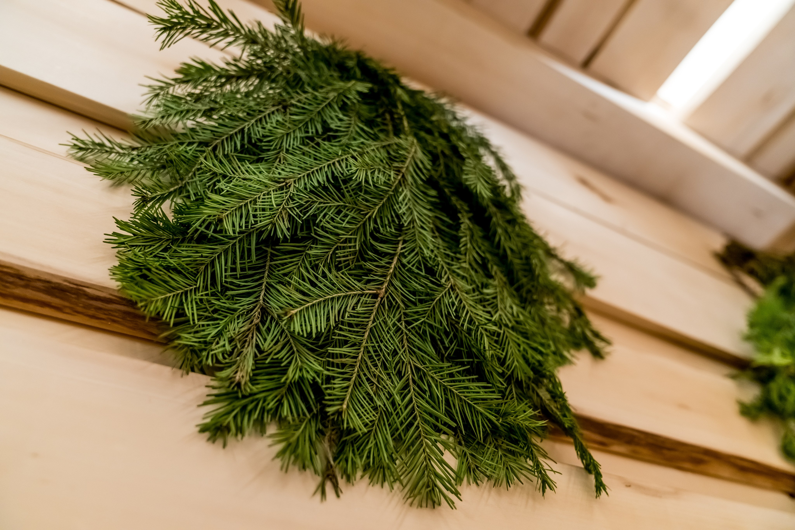 Термы — «МАГИЯ ТЕПЛА». Сергей Петруша. Фотограф