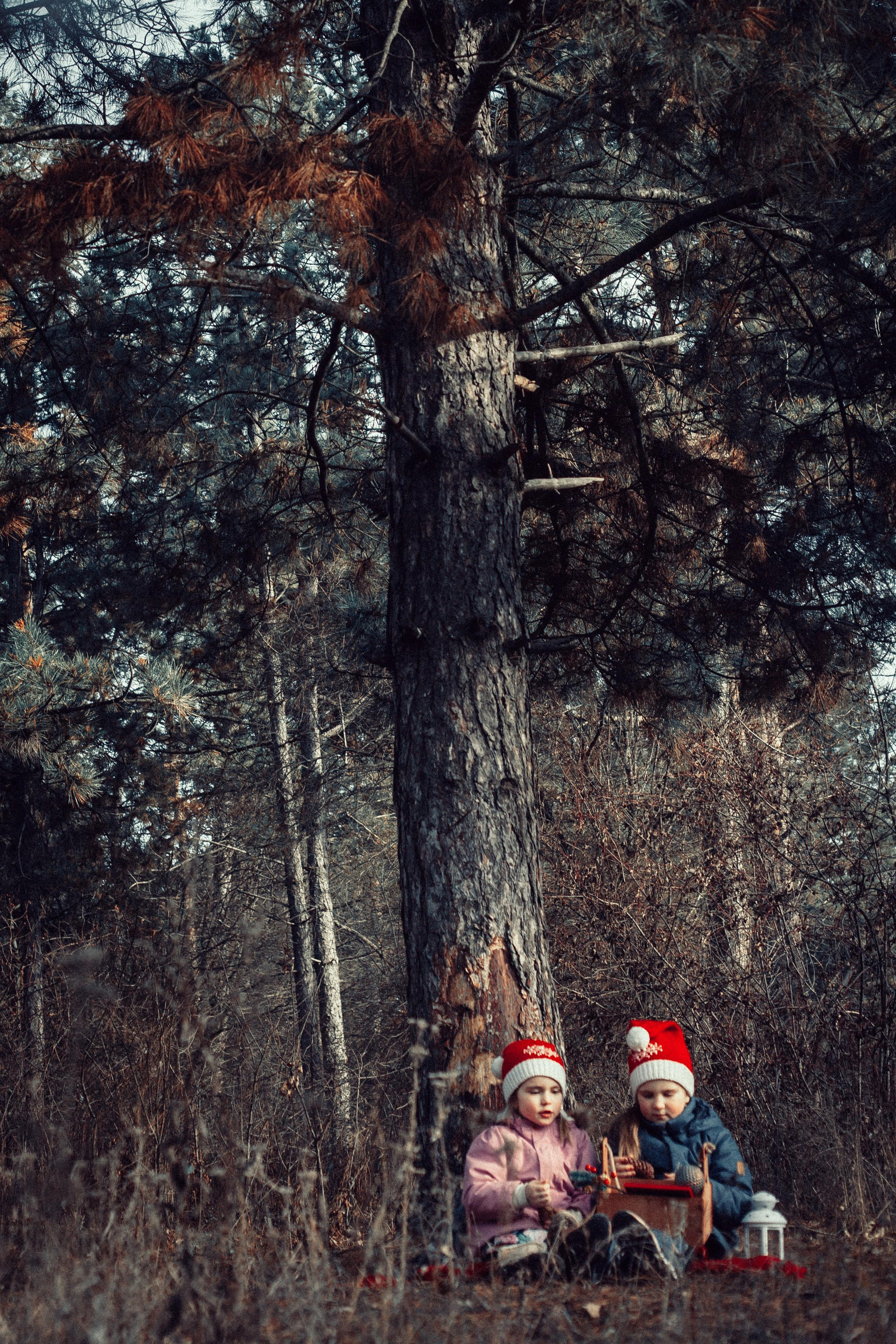 Зима лес. Екатерина Дымова. Фотограф. Автор проекта «Белый Ветер»