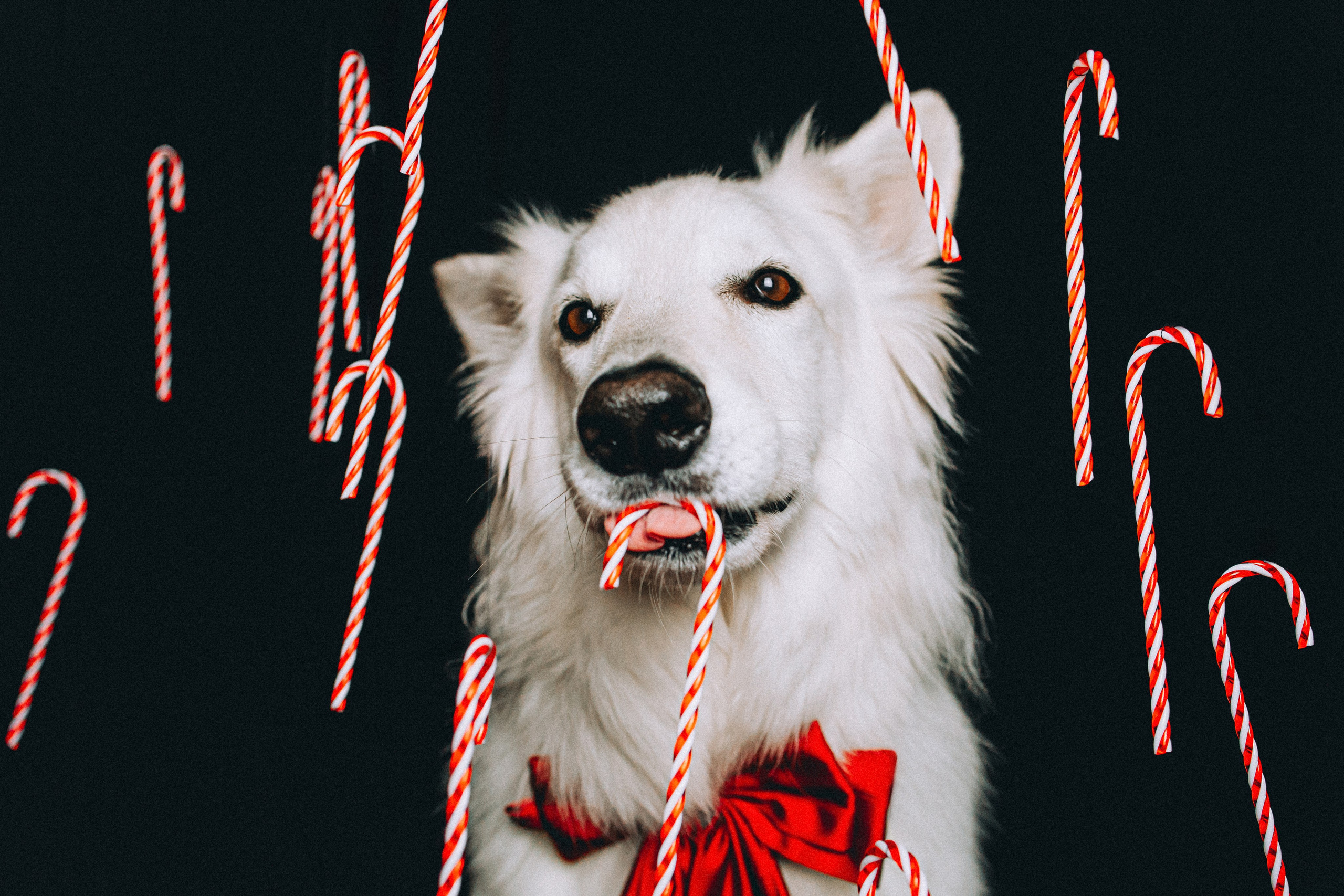 Джек, Бет и Кову