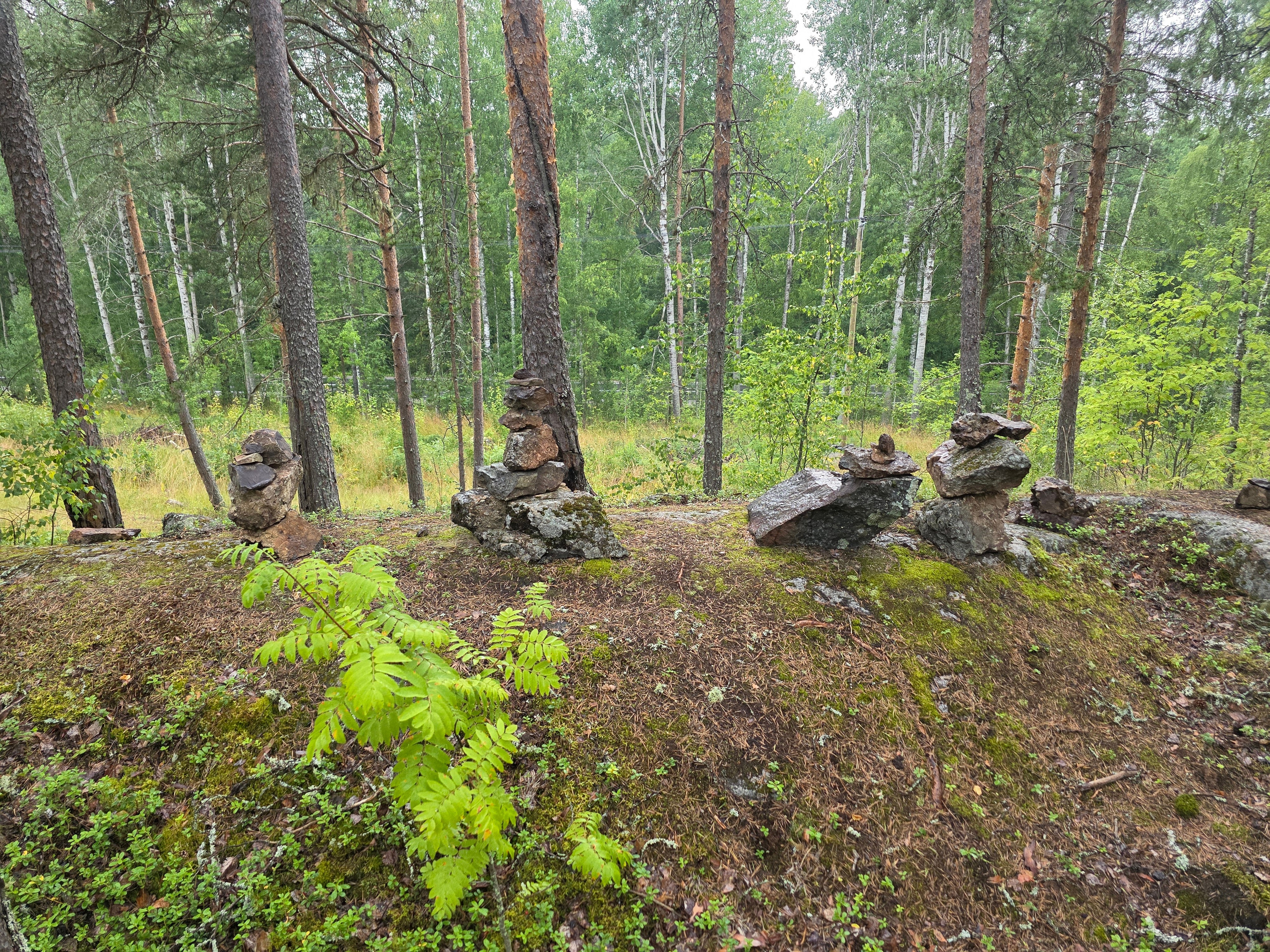 КАРЕЛИЯ, какой увидел ее я. Фотохудожник BID