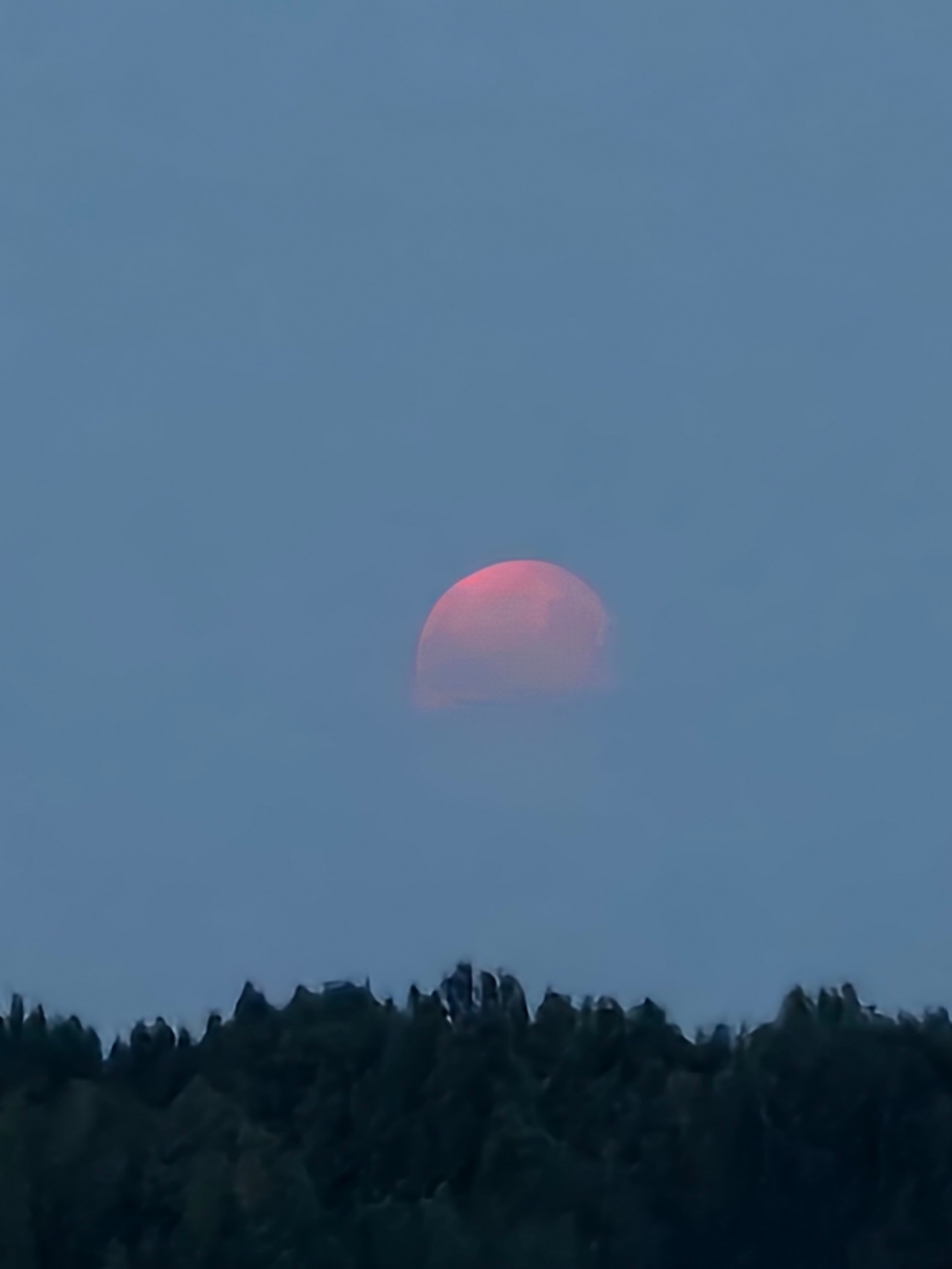 КАРЕЛИЯ, какой увидел ее я. Фотохудожник BID