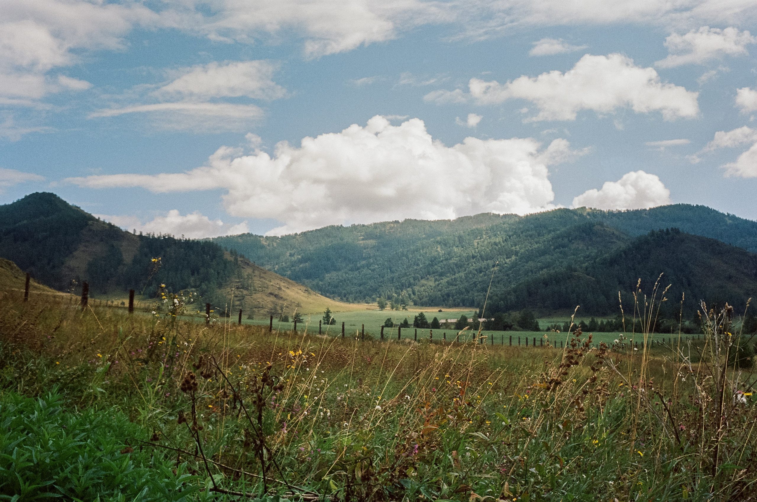 Трасса на Семинский перевал / 30 августа 2024 года