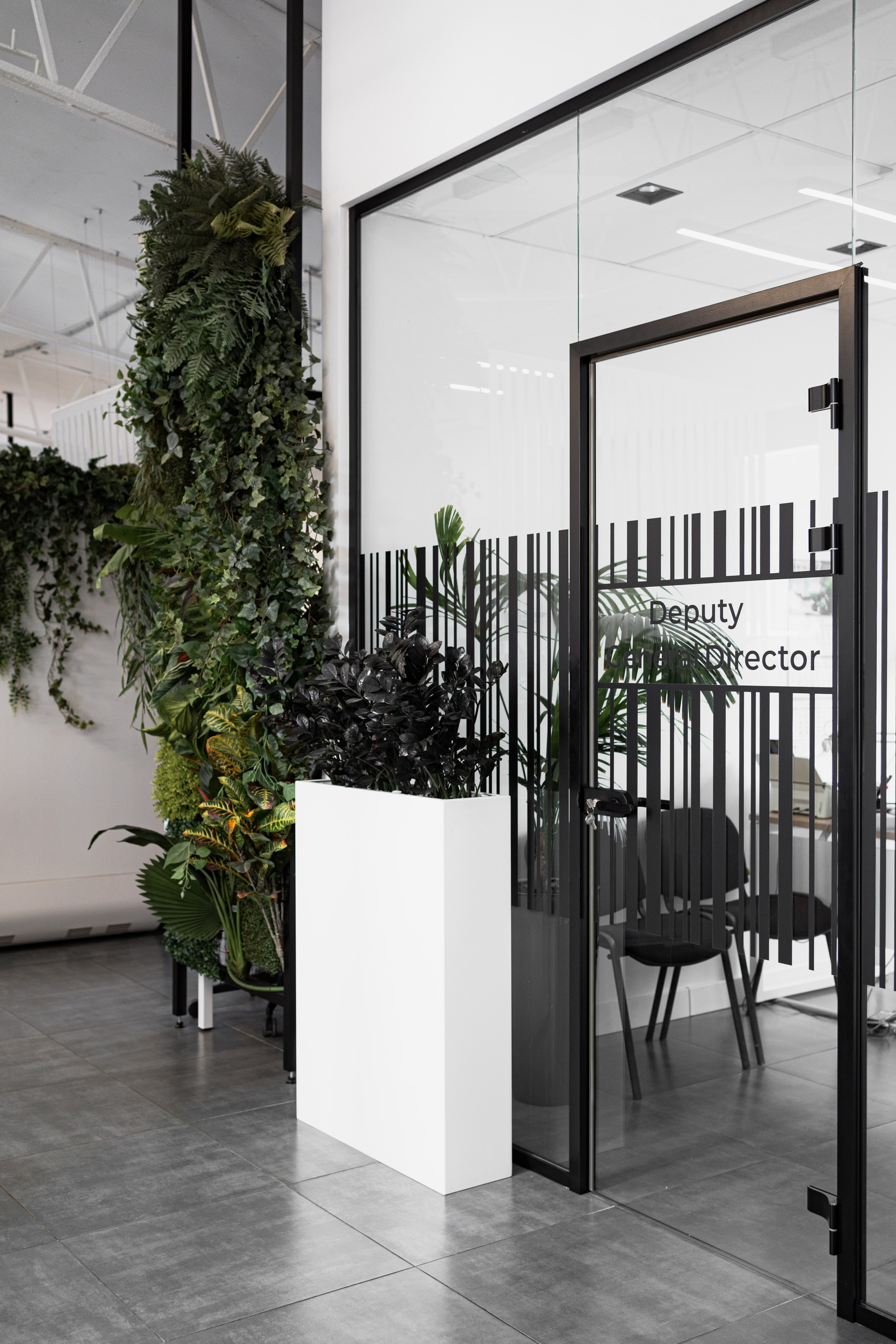 Terra. Елена Пашкевич, фотограф, Москва